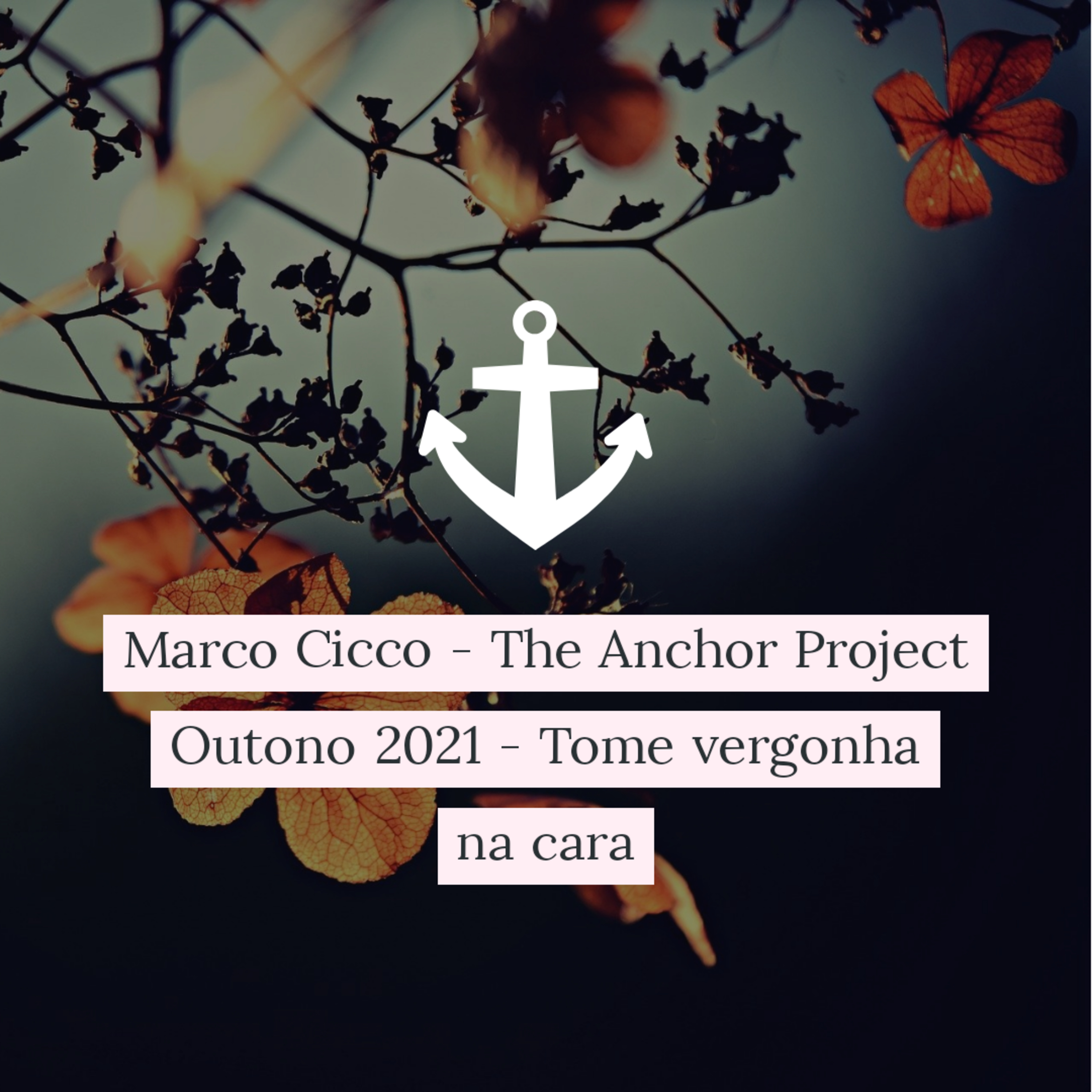 Marco Cicco - The Anchor Project
