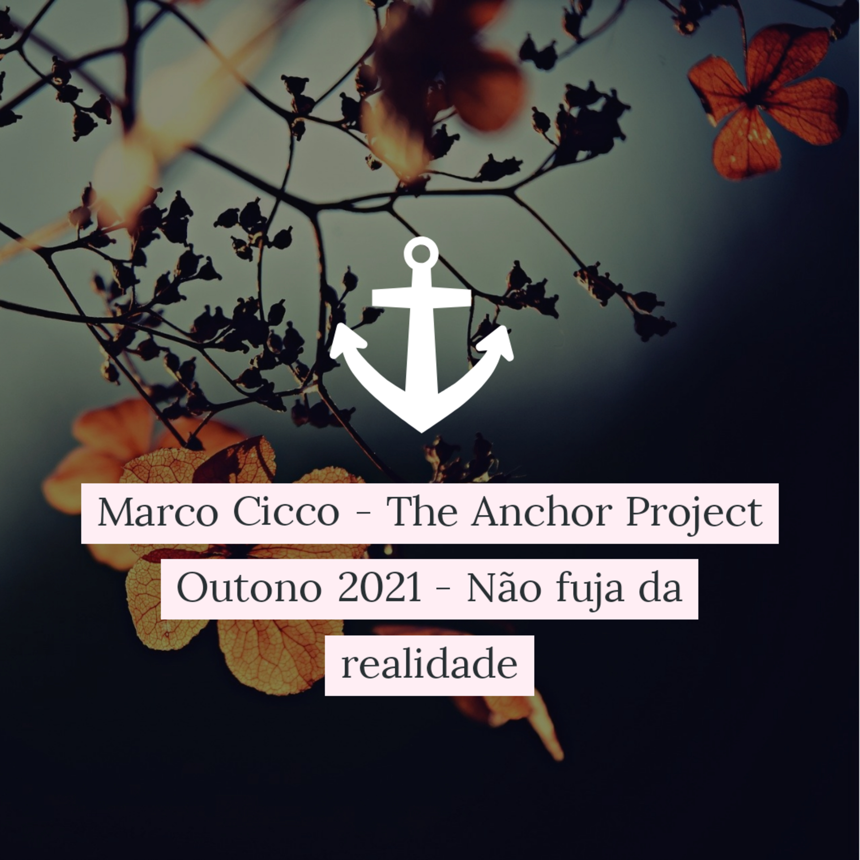Marco Cicco - The Anchor Project