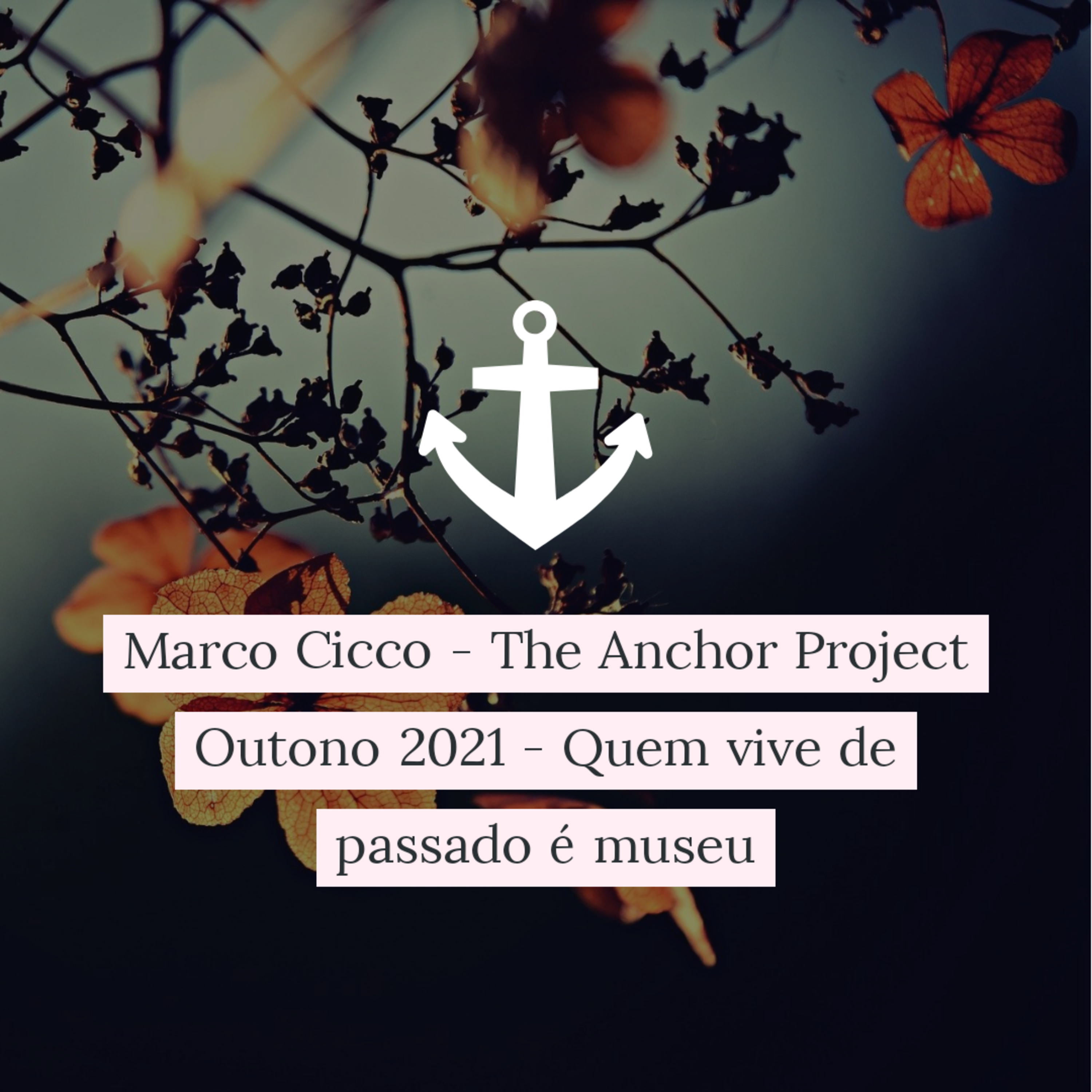 Marco Cicco - The Anchor Project