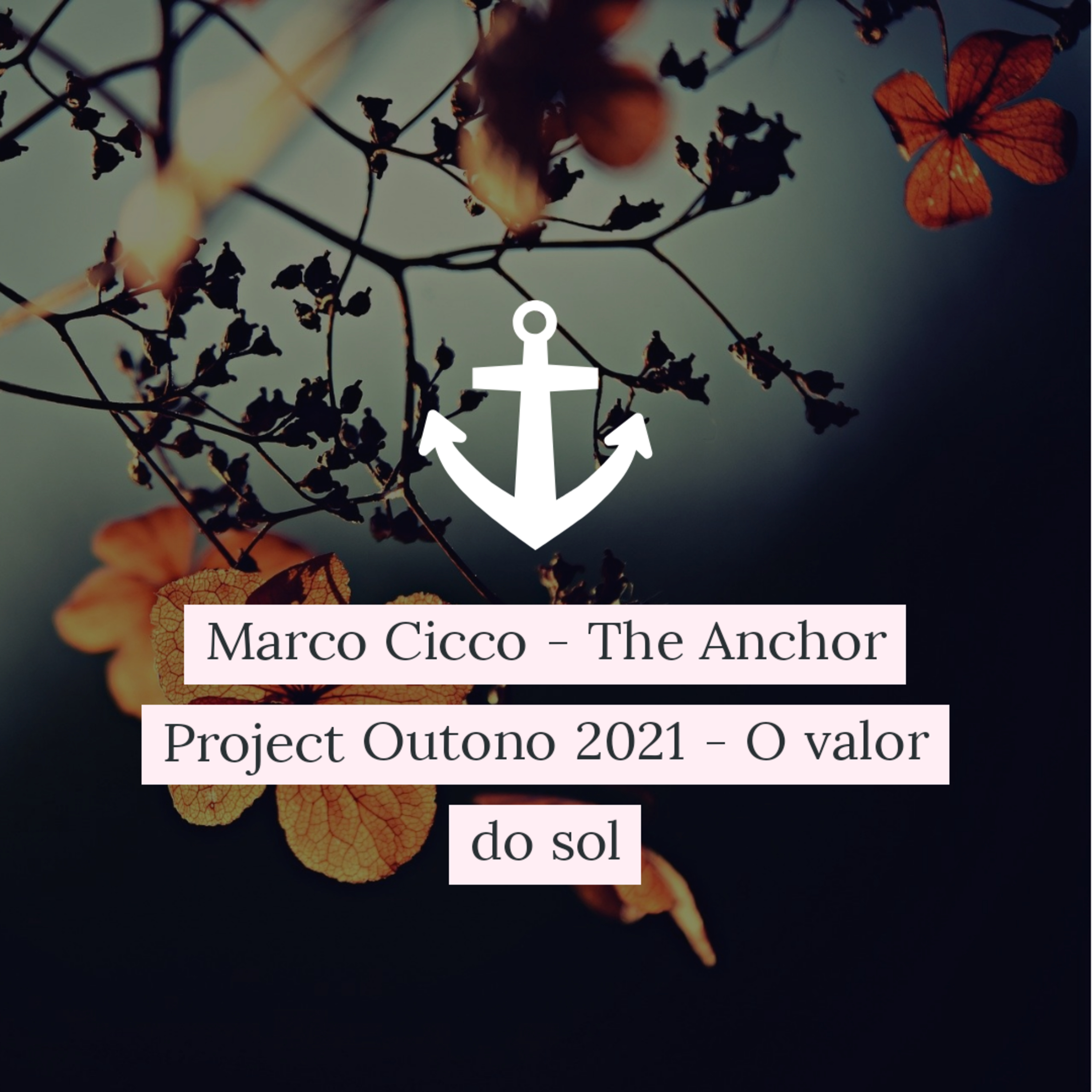 Marco Cicco - The Anchor Project