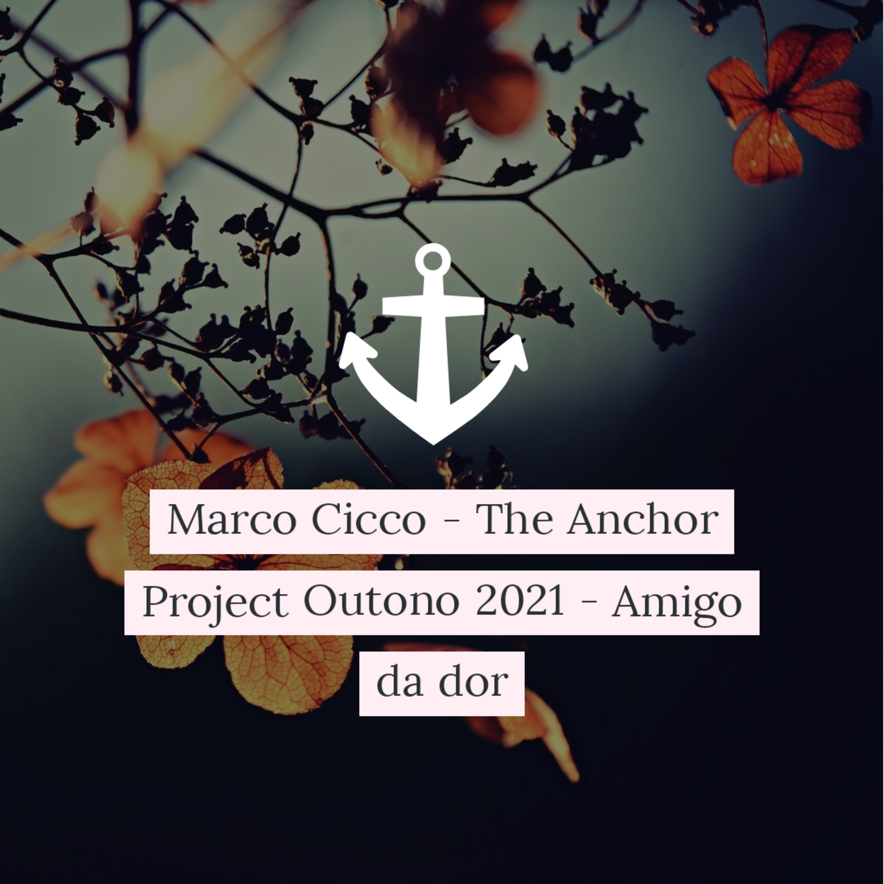 Marco Cicco - The Anchor Project
