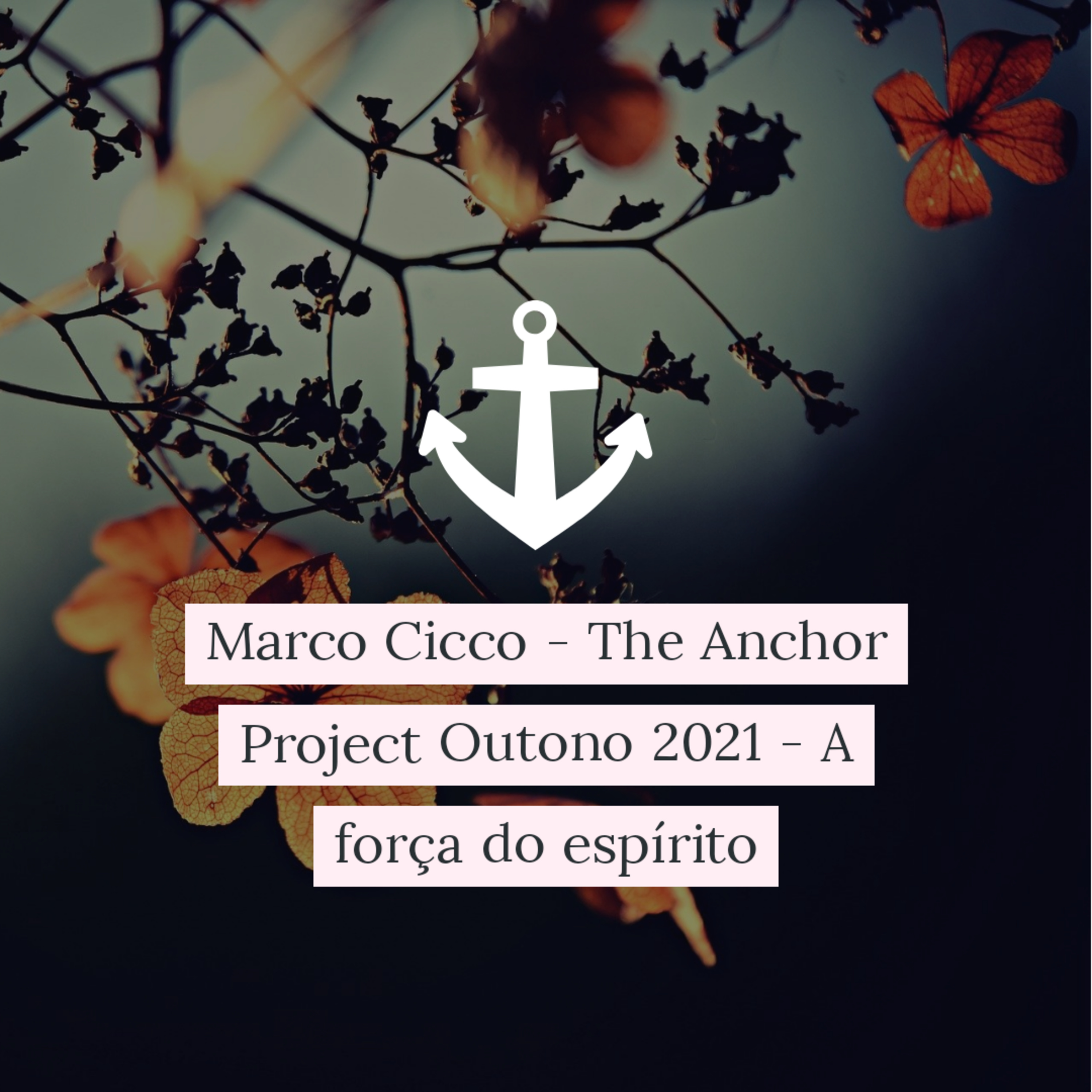 Marco Cicco - The Anchor Project