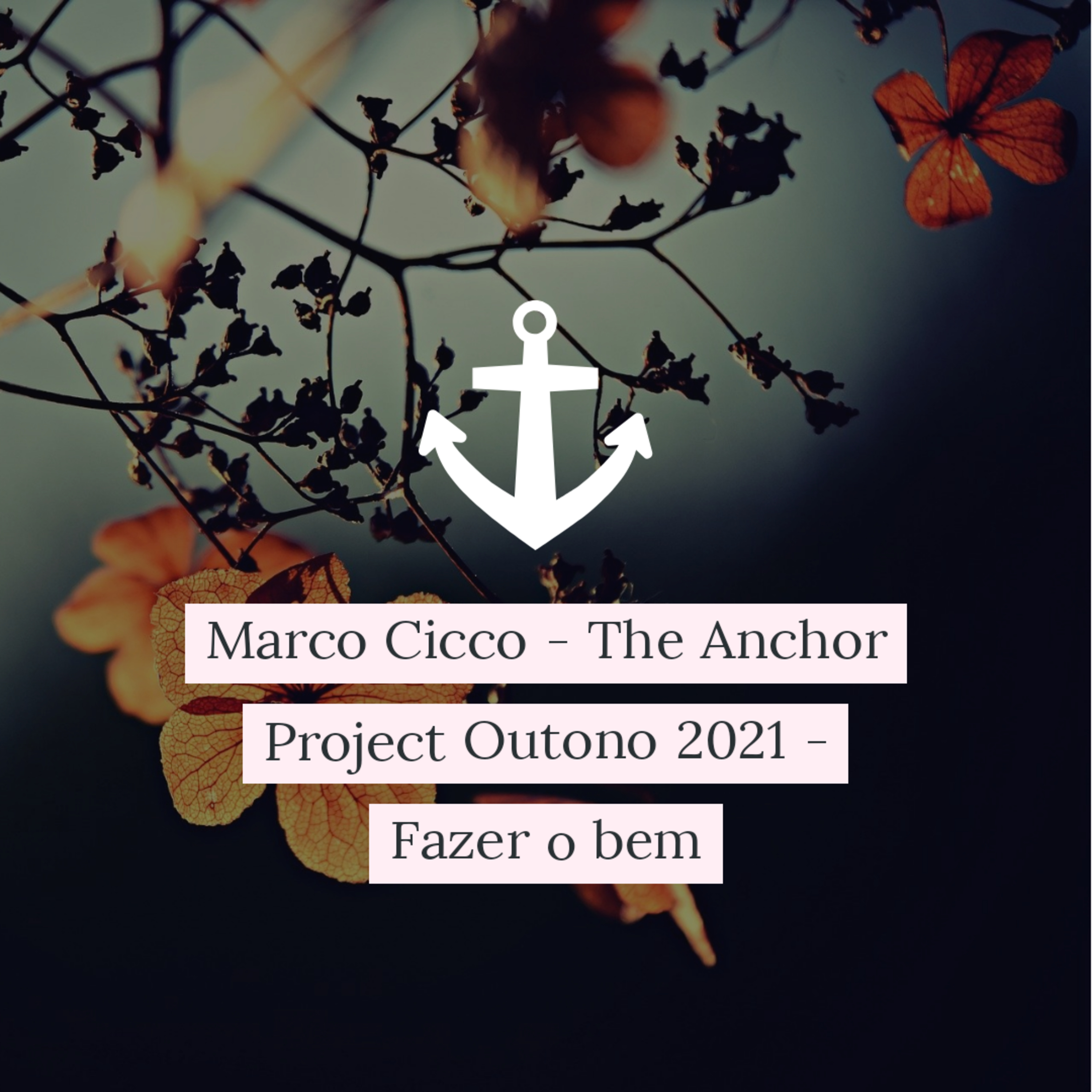 Marco Cicco - The Anchor Project