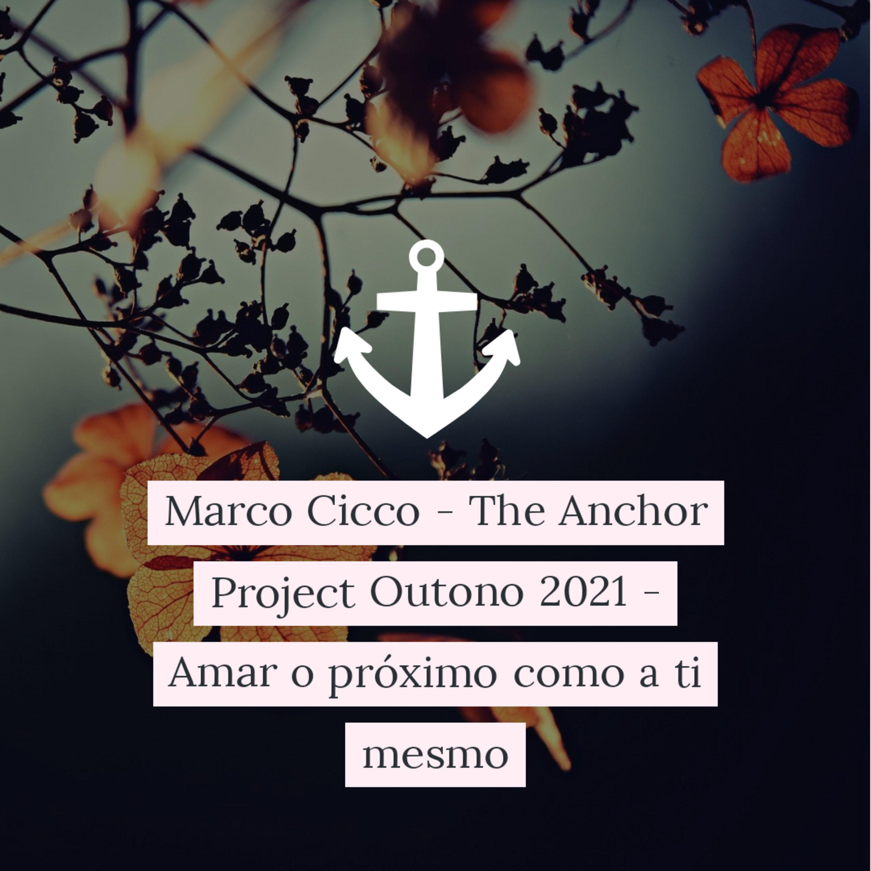 Marco Cicco - The Anchor Project