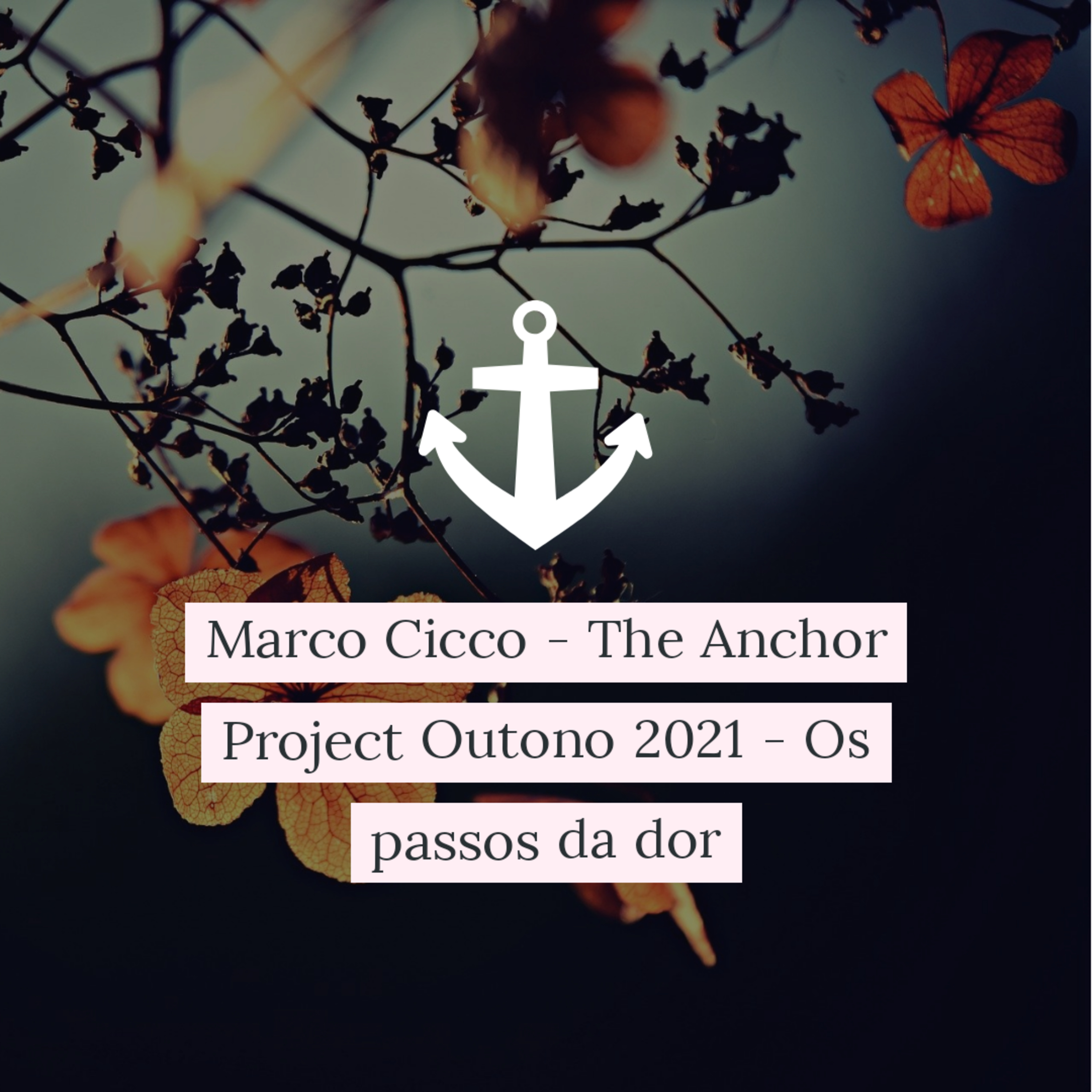 Marco Cicco - The Anchor Project