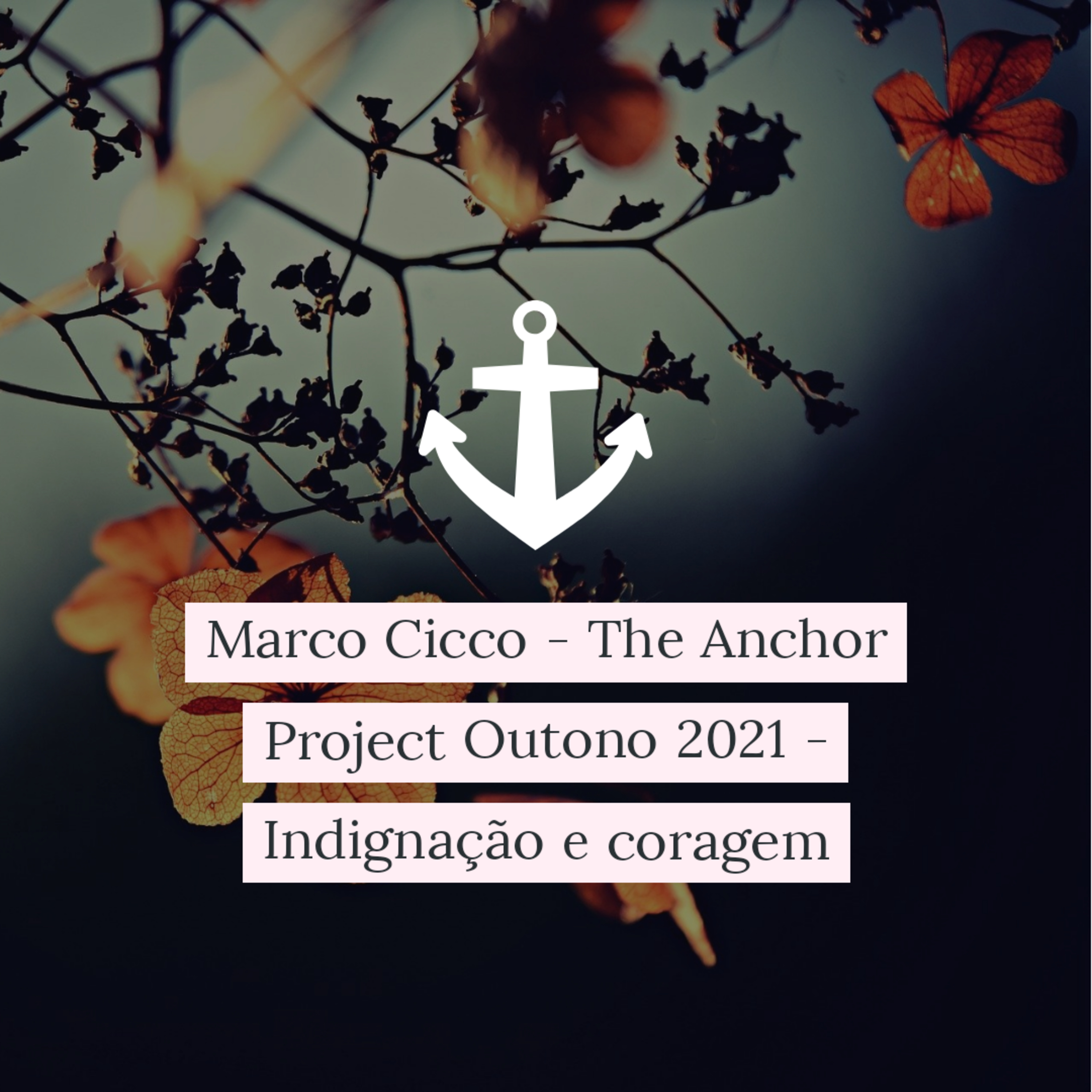 Marco Cicco - The Anchor Project