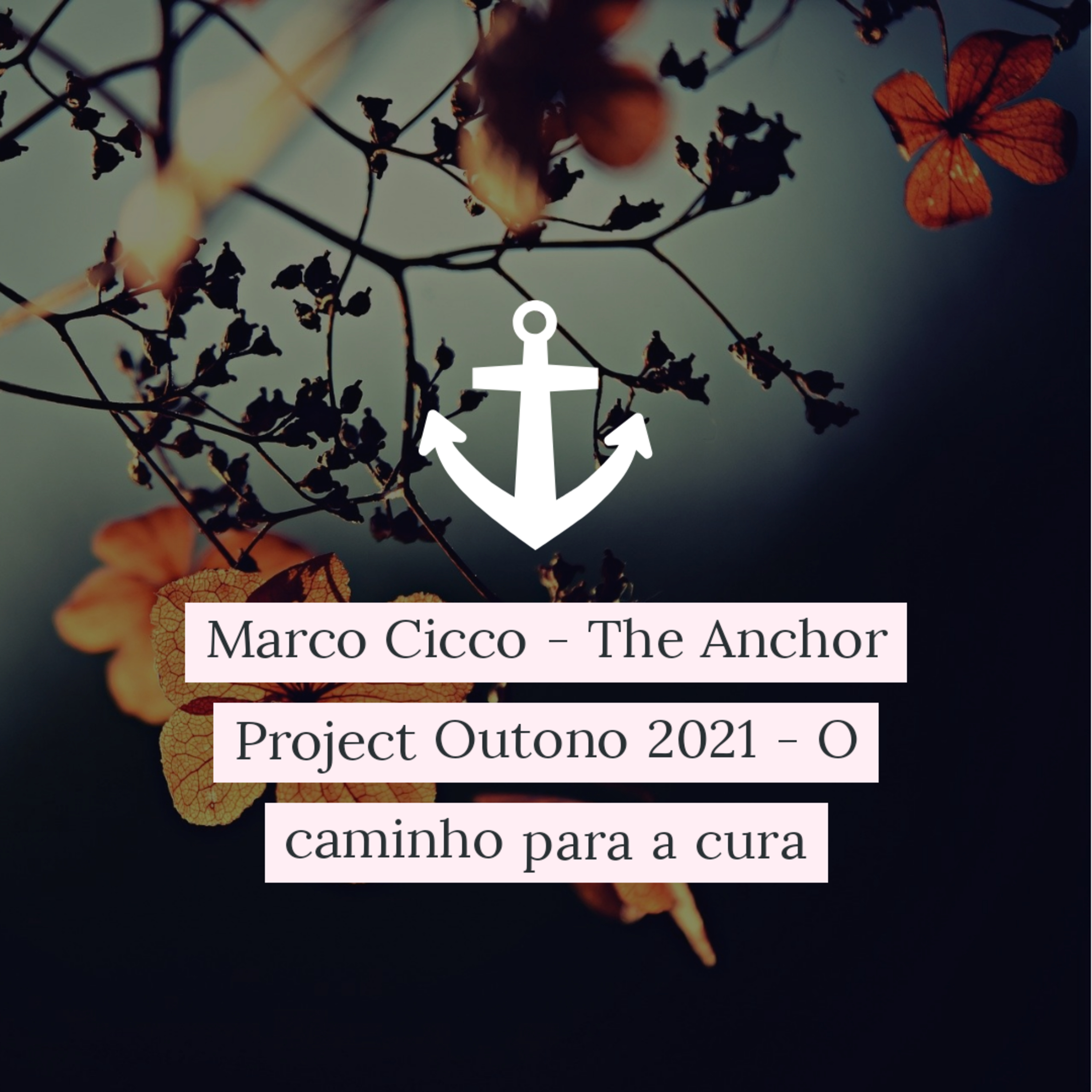 Marco Cicco - The Anchor Project