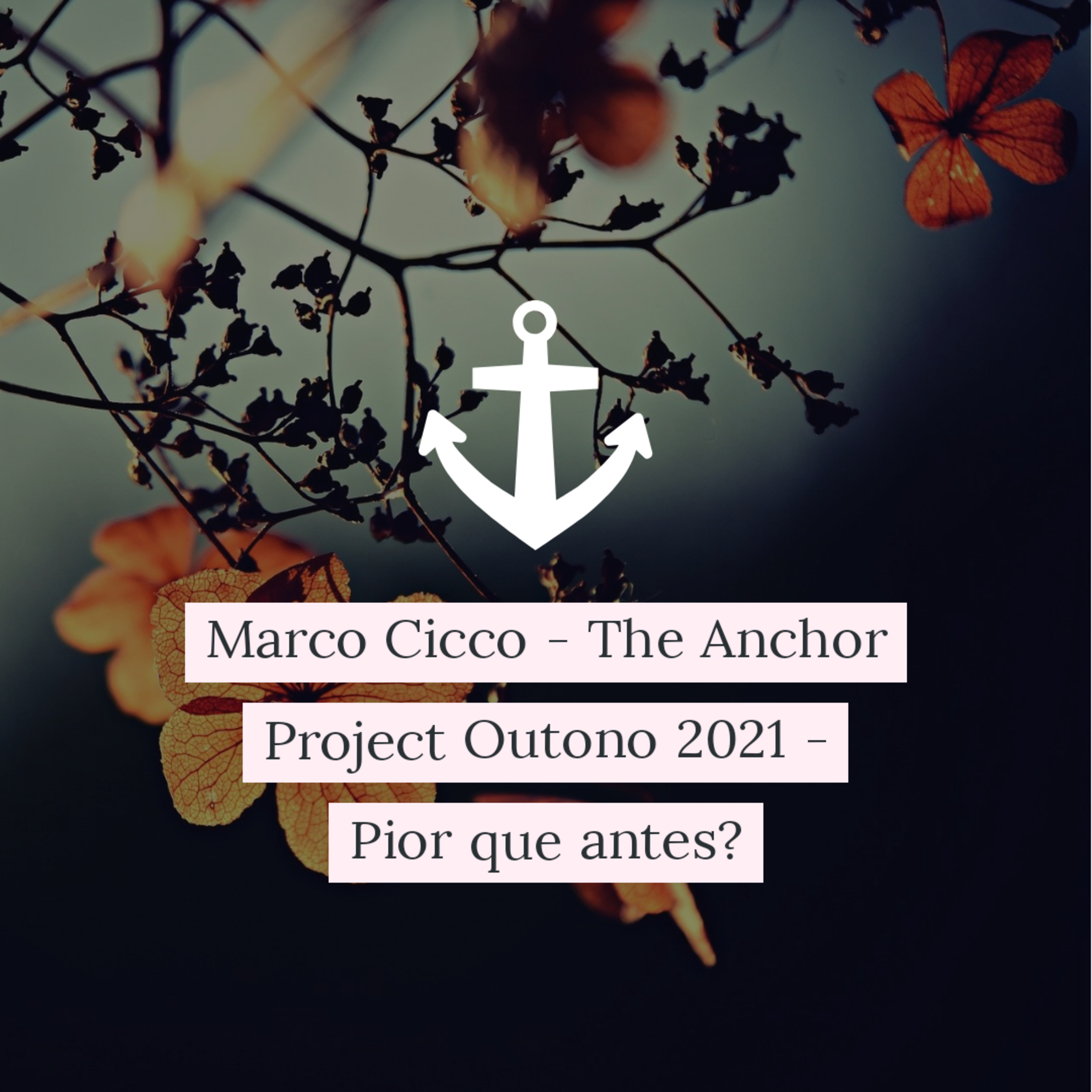 Marco Cicco - The Anchor Project