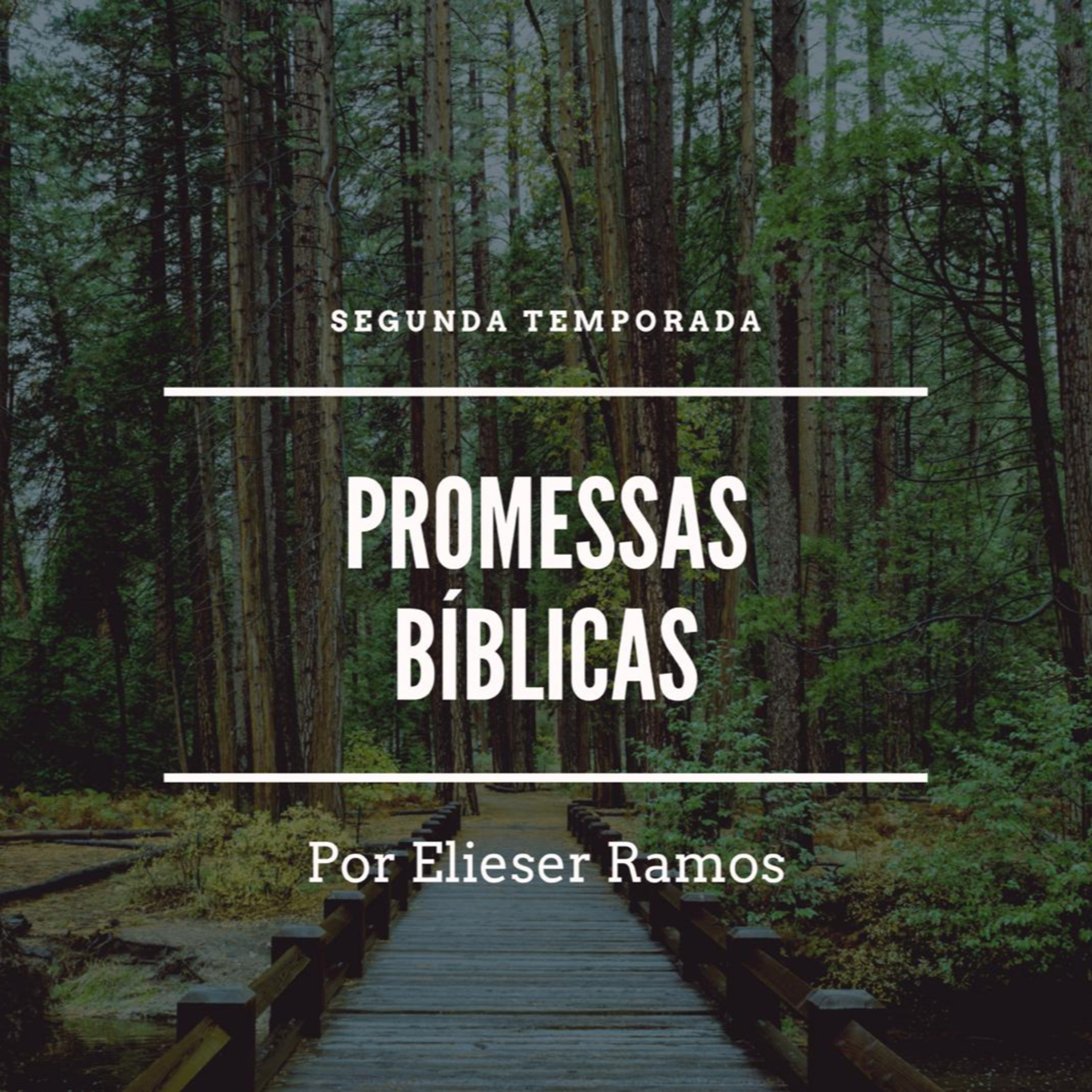 Promessas Bíblicas
