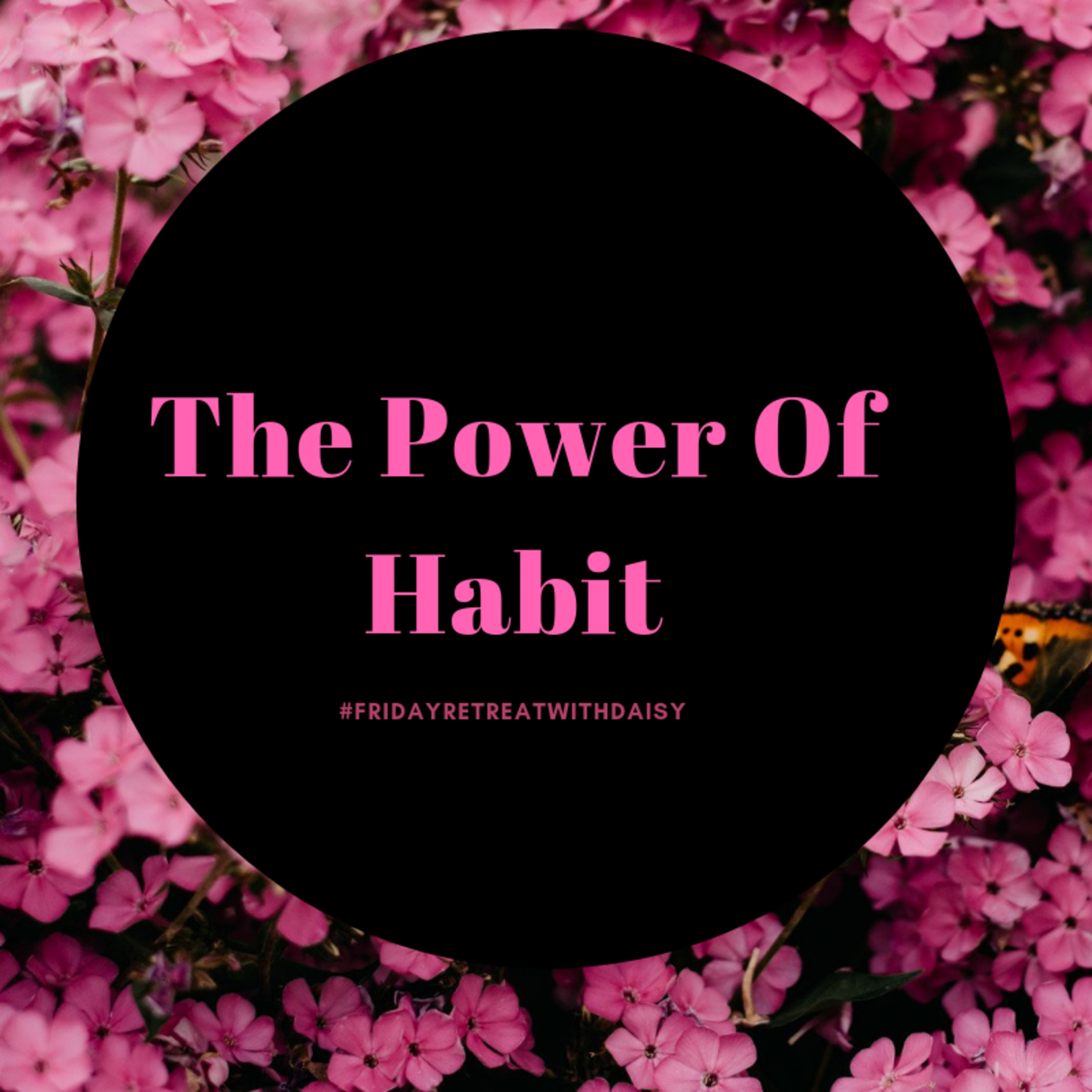 #FridayRetreatWithDaisy ❤👑