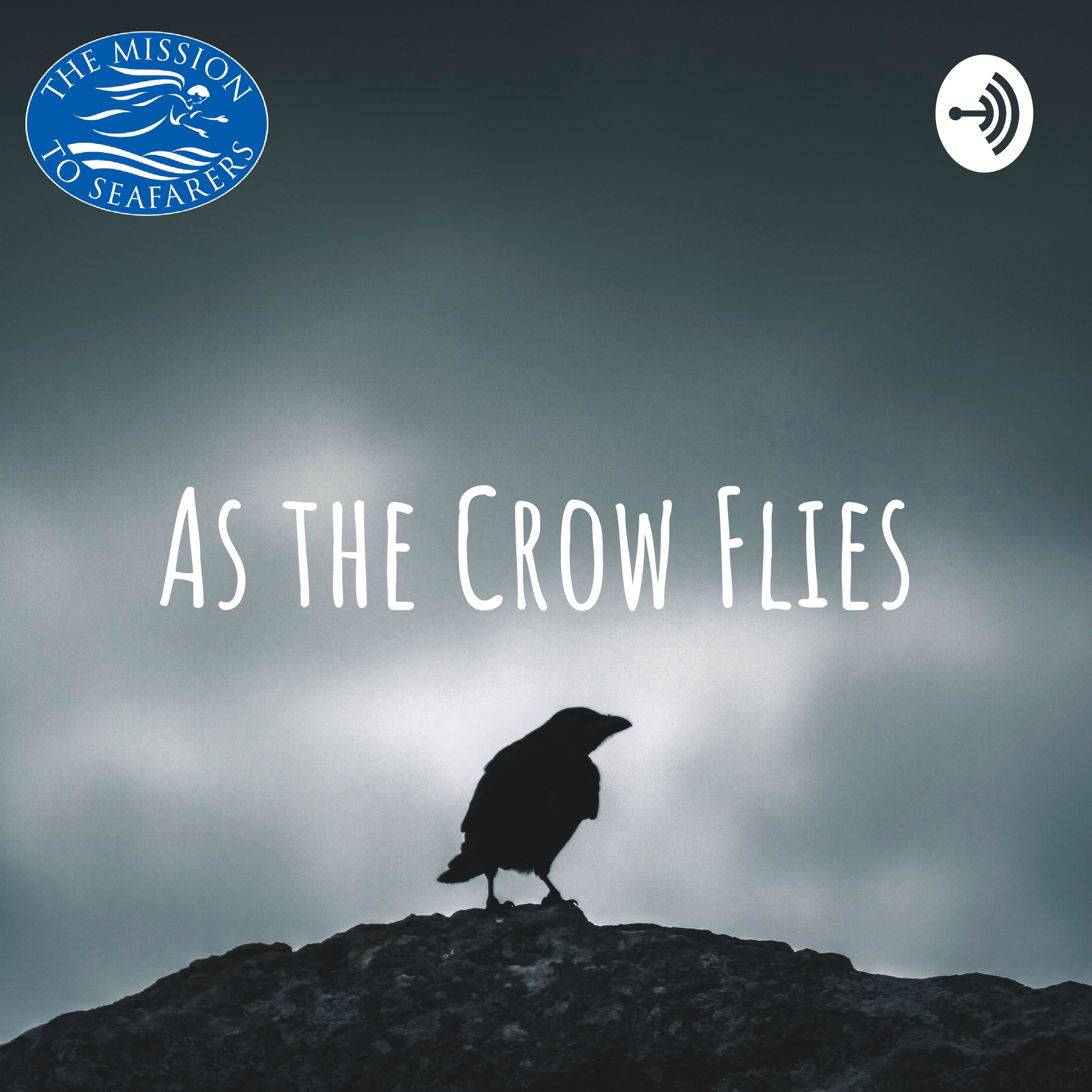 As the Crow Flies