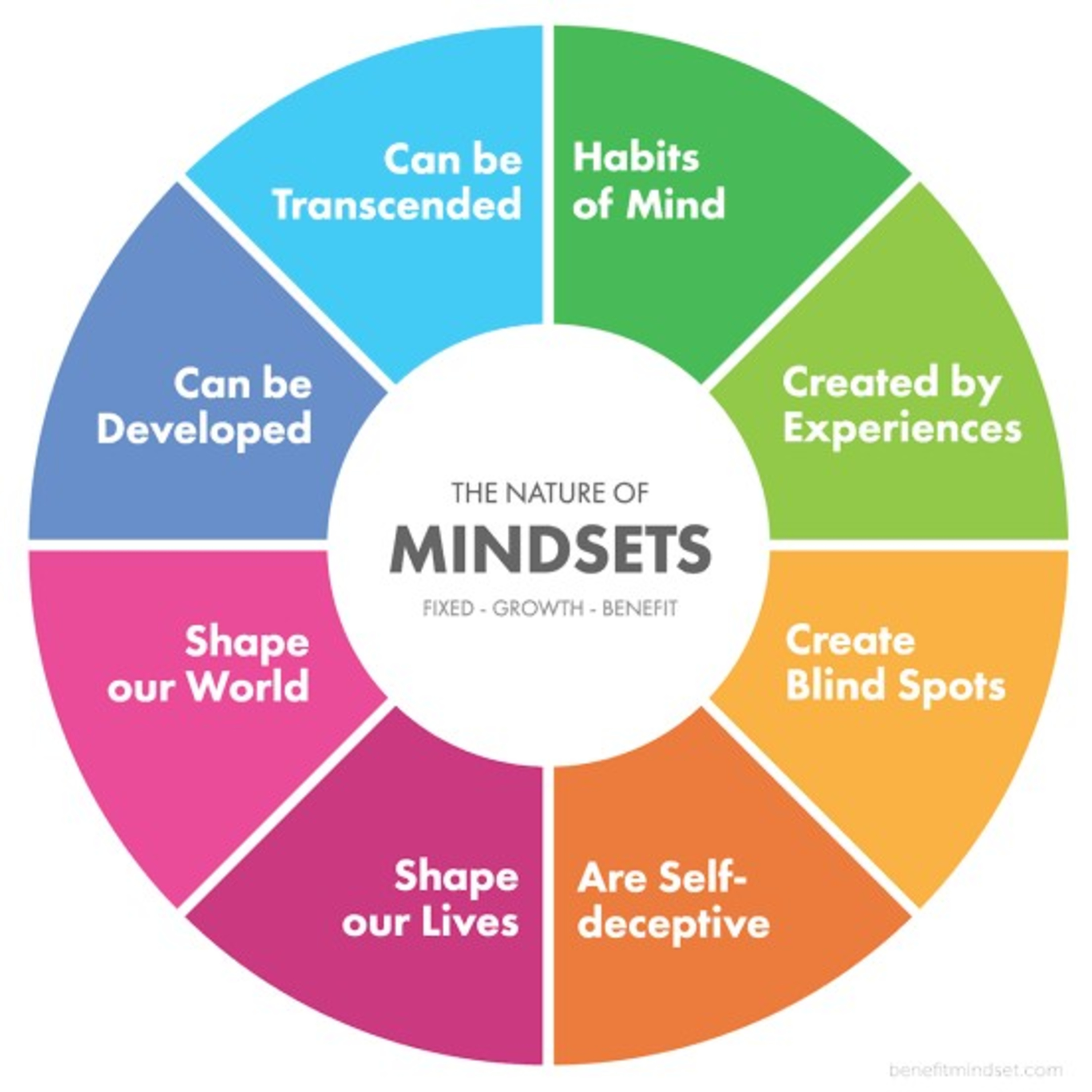 Success Mindset | Tolu Adebayo