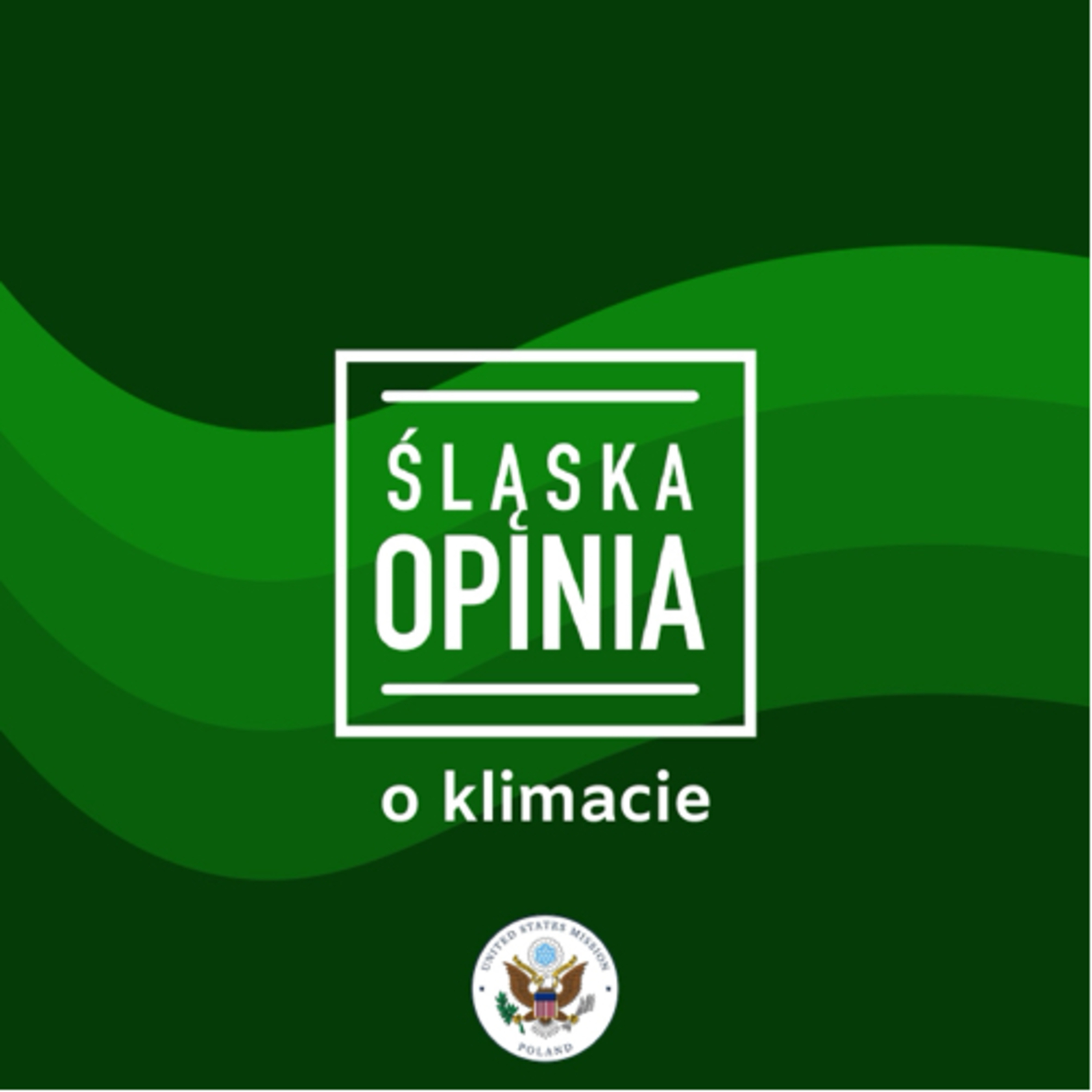 Nie dla gazu, tak dla węgla? Jak interpretować słowa Fransa Timmermansa? episode artwork