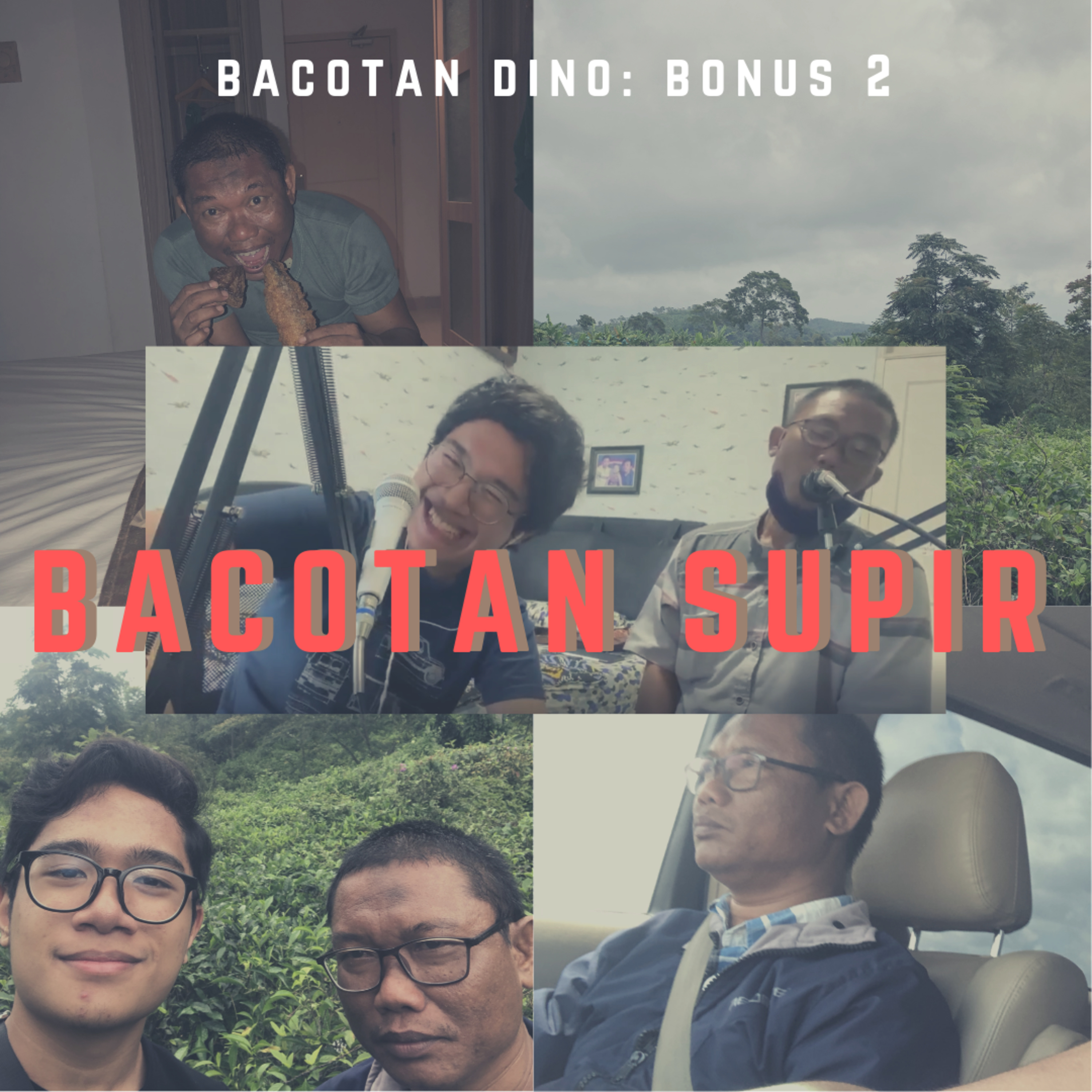 Bacotan Dino