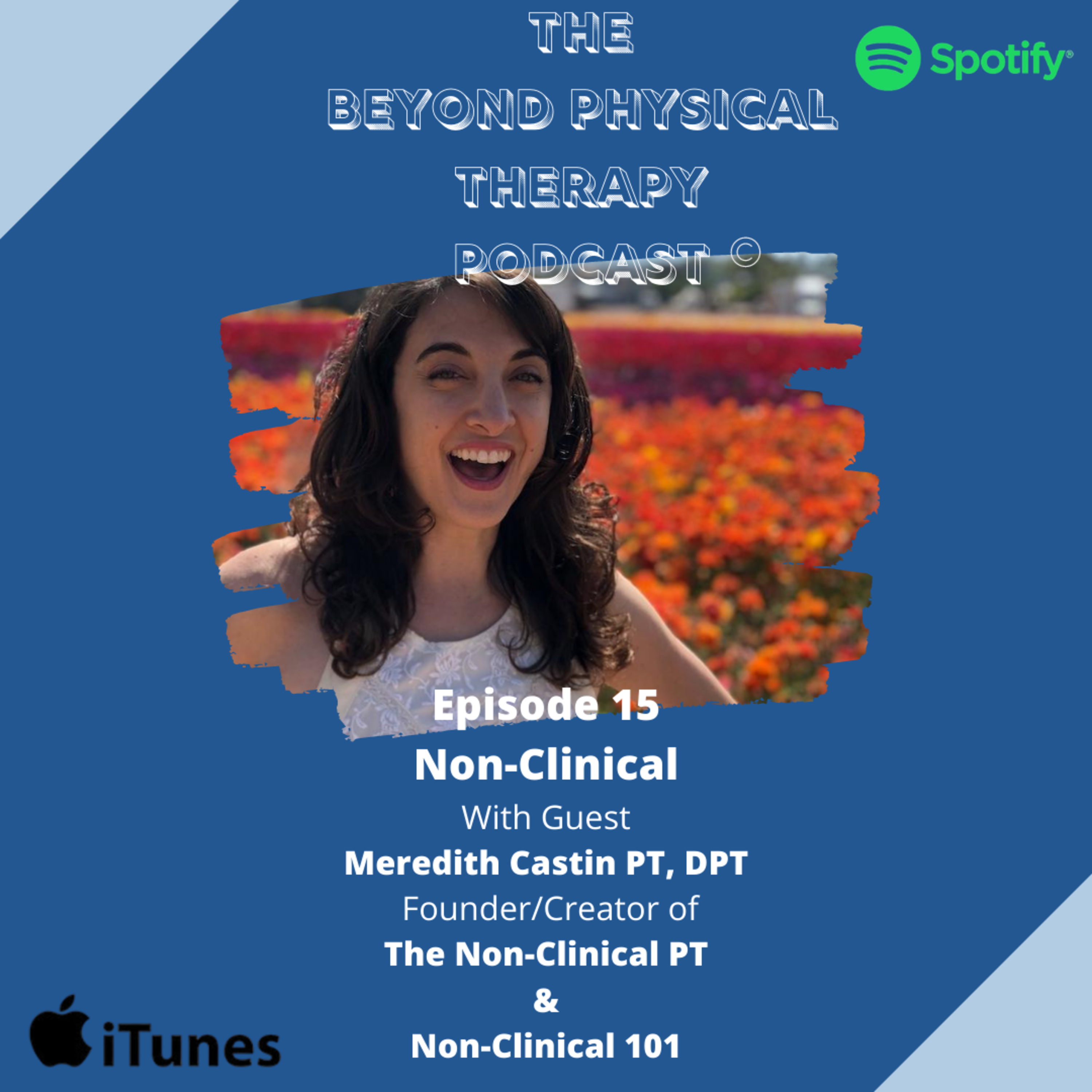 The Beyond Physical Therapy Podcast