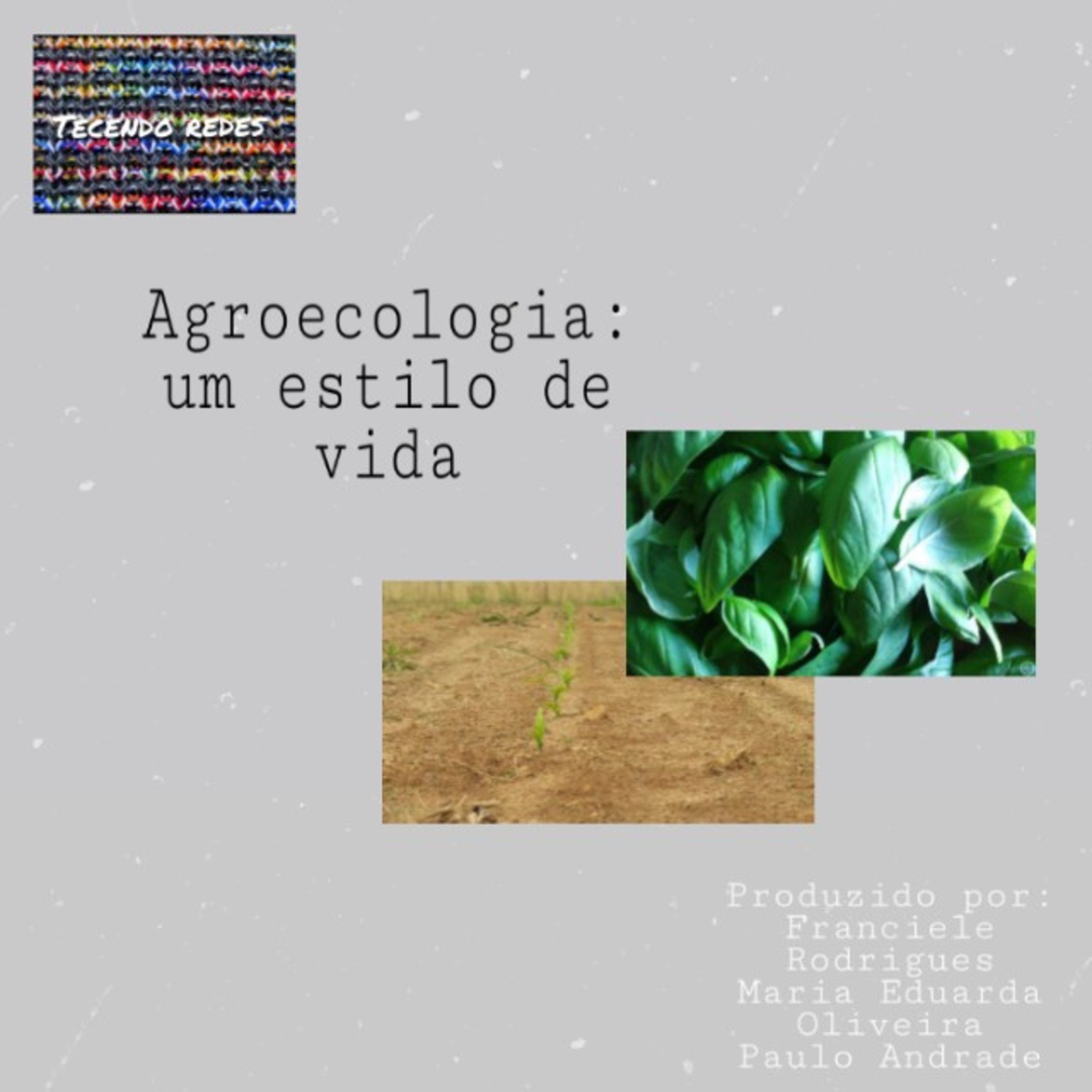 Tecendo Redes