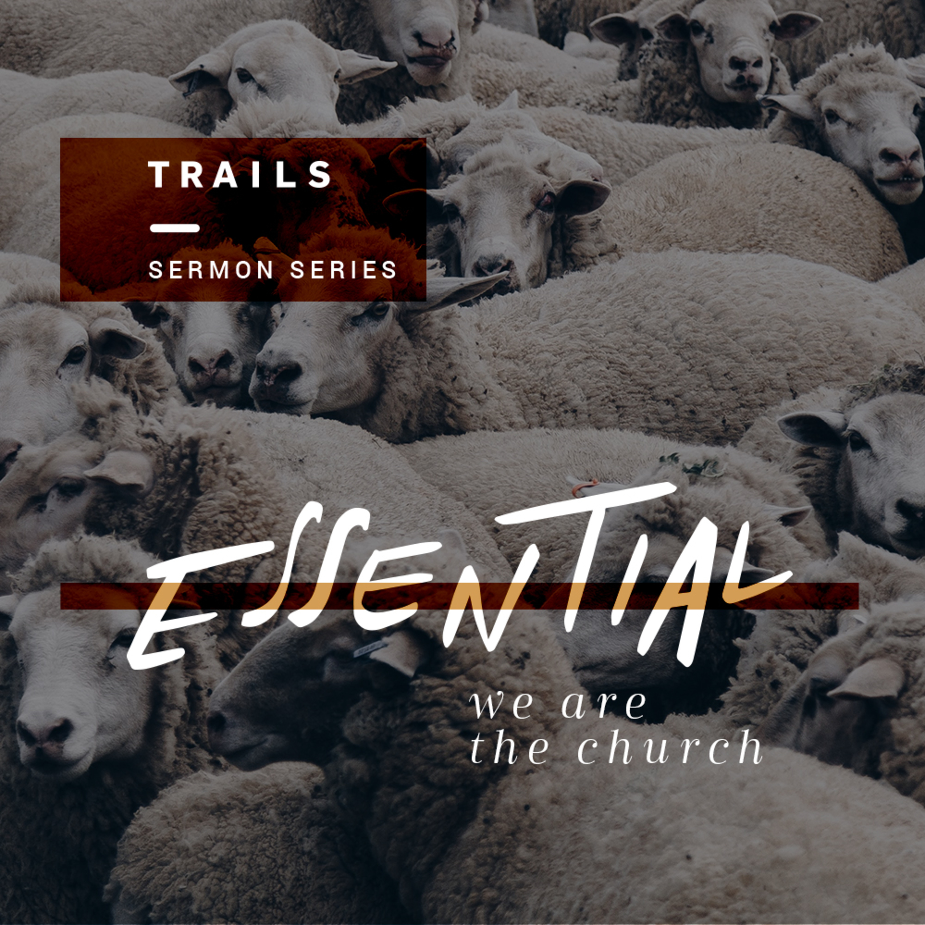 Essential - The Church displays the image of God episode artwork