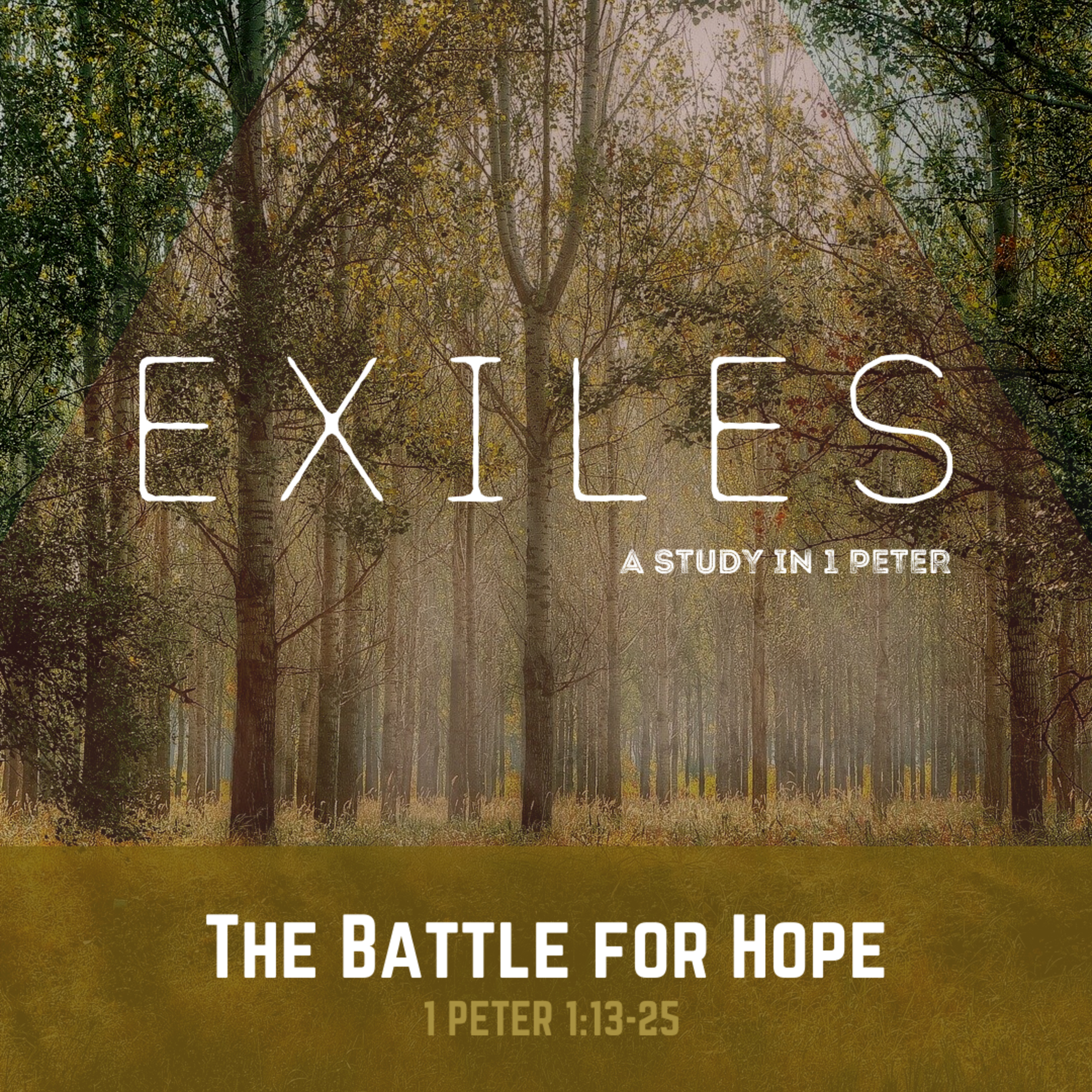 The Battle For Hope episode artwork