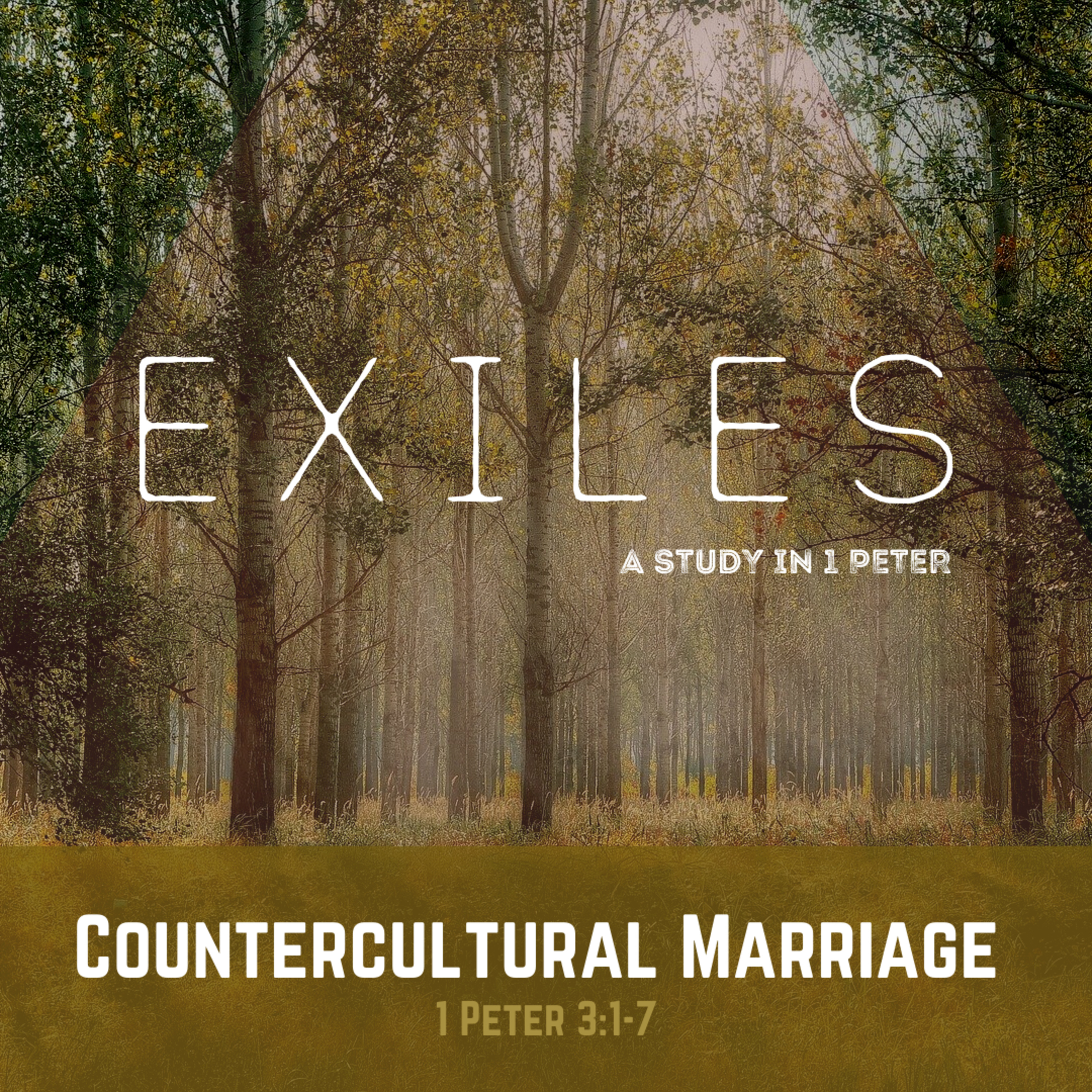 Countercultural Marriage  episode artwork