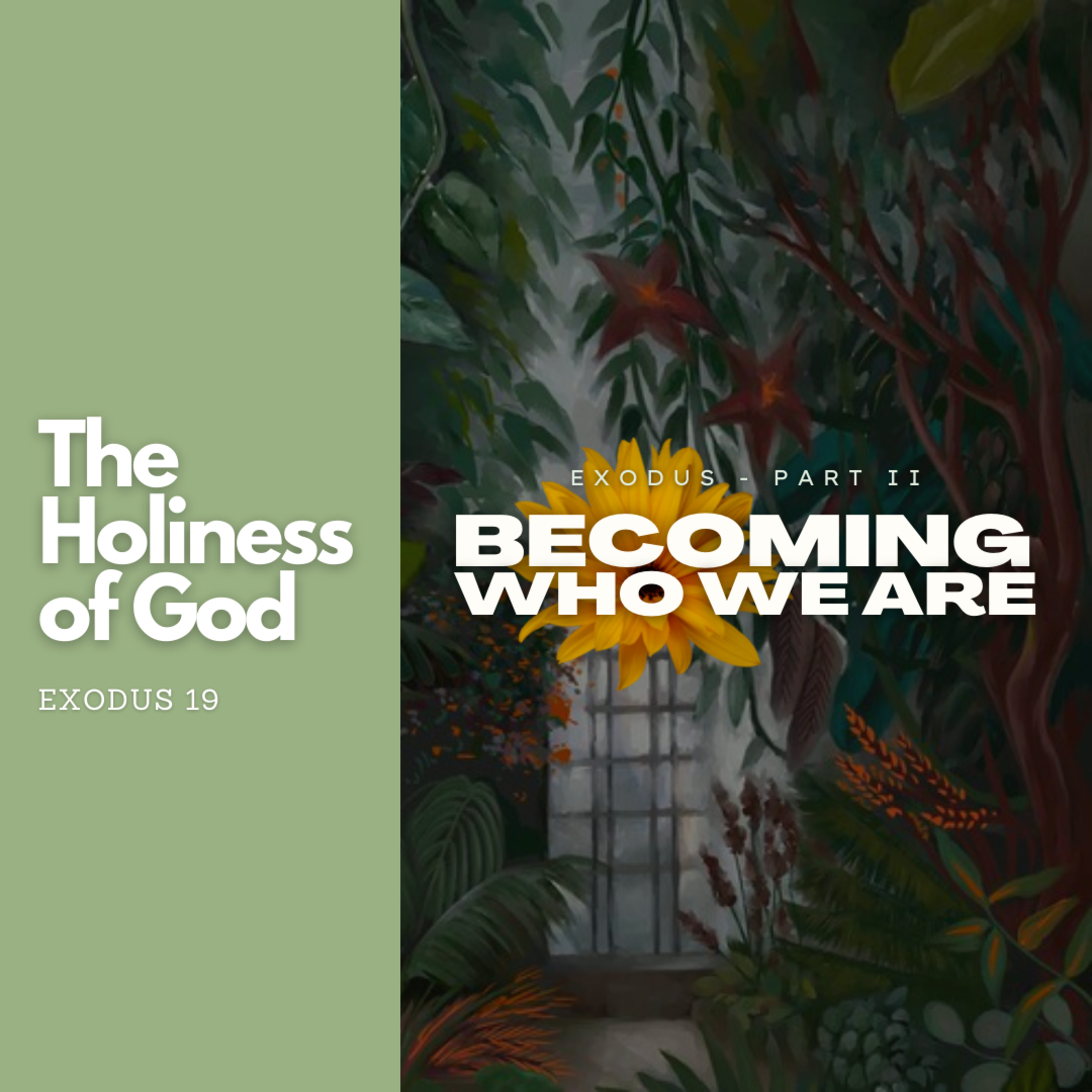 The Holiness of God - Exodus 19 episode artwork