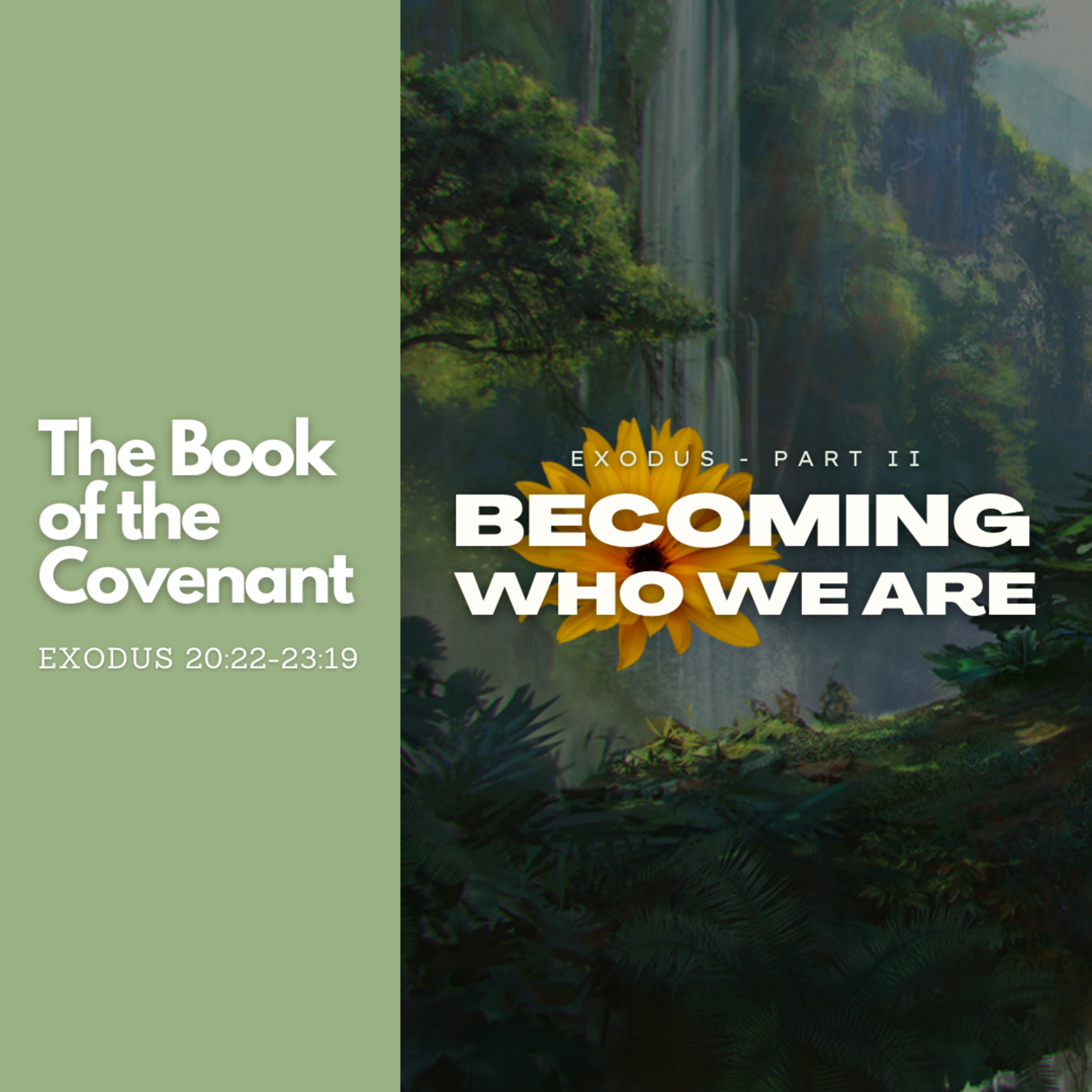 The Book of the Covenant - Exodus 20:22-23:19