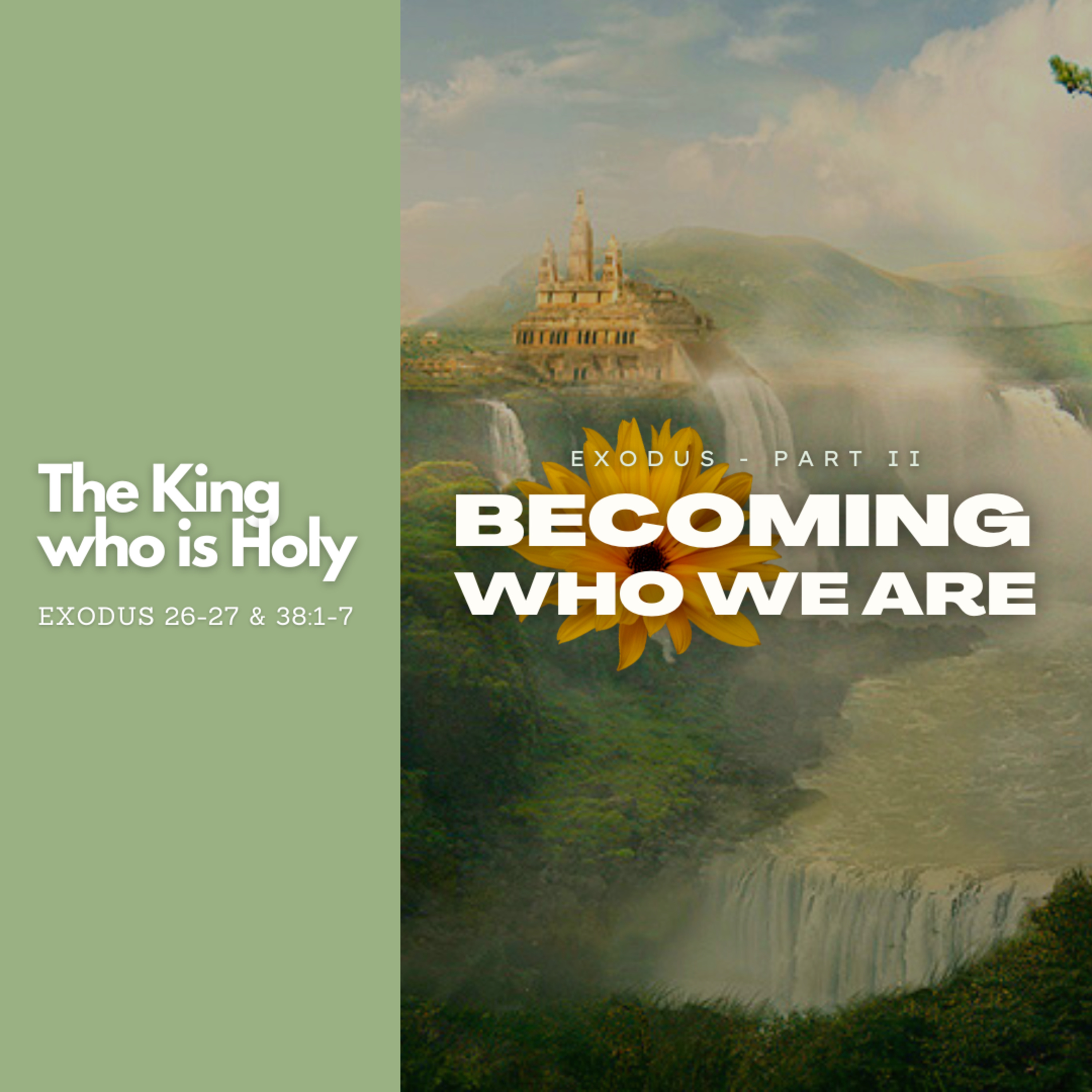 The King who is Holy - Exodus 26, 27, 38:1-7
