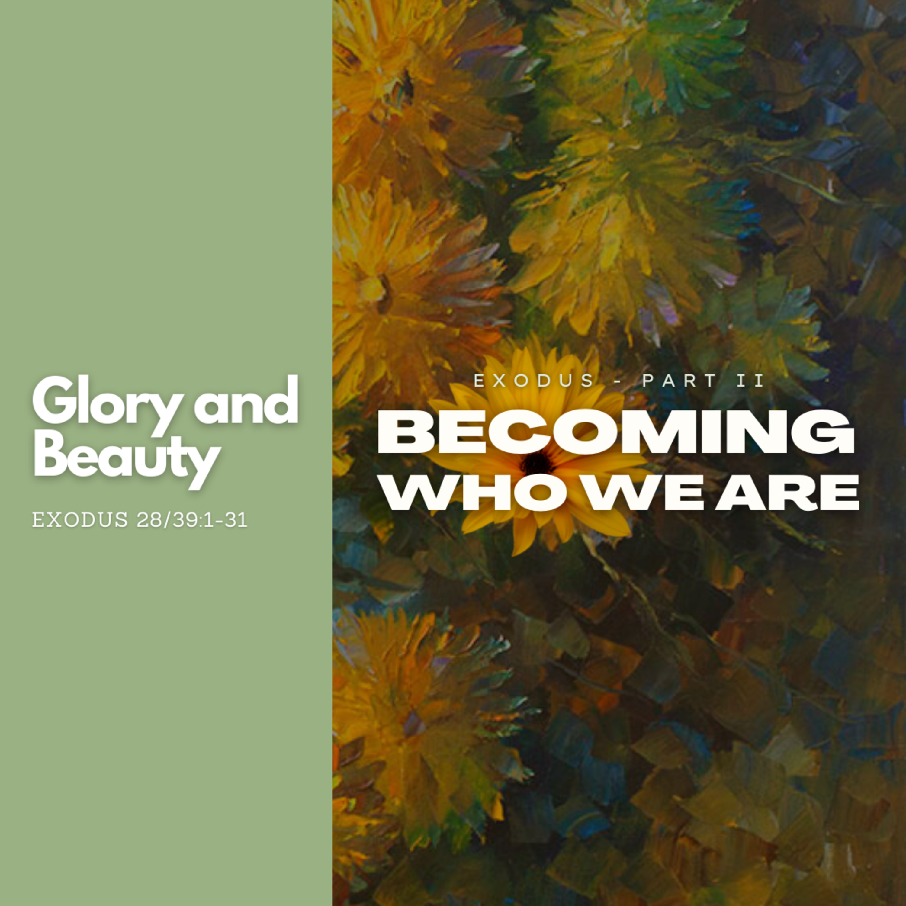 Glory and Beauty - Exodus 28 | 39:1-31