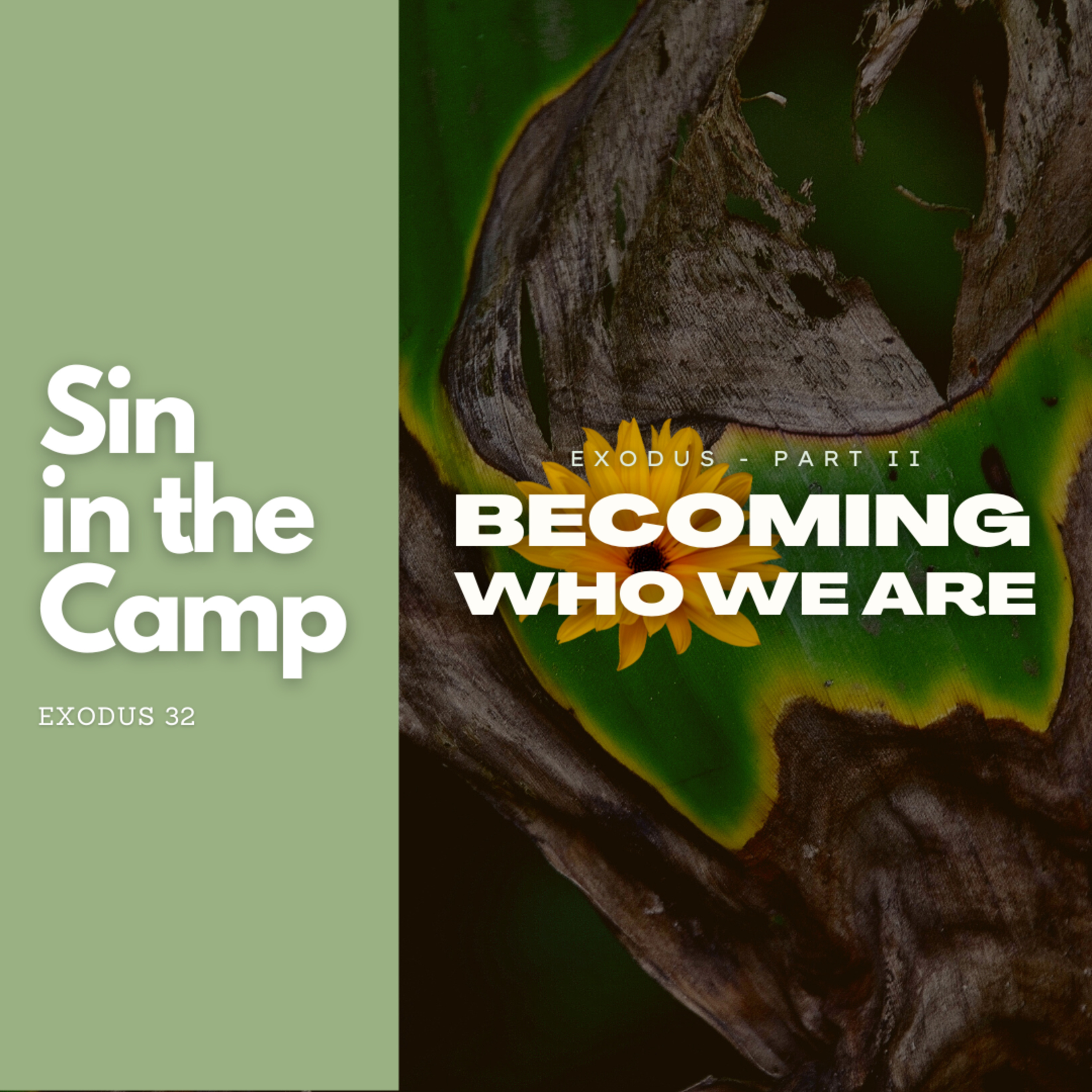 Sin in the Camp - Exodus 32 episode artwork