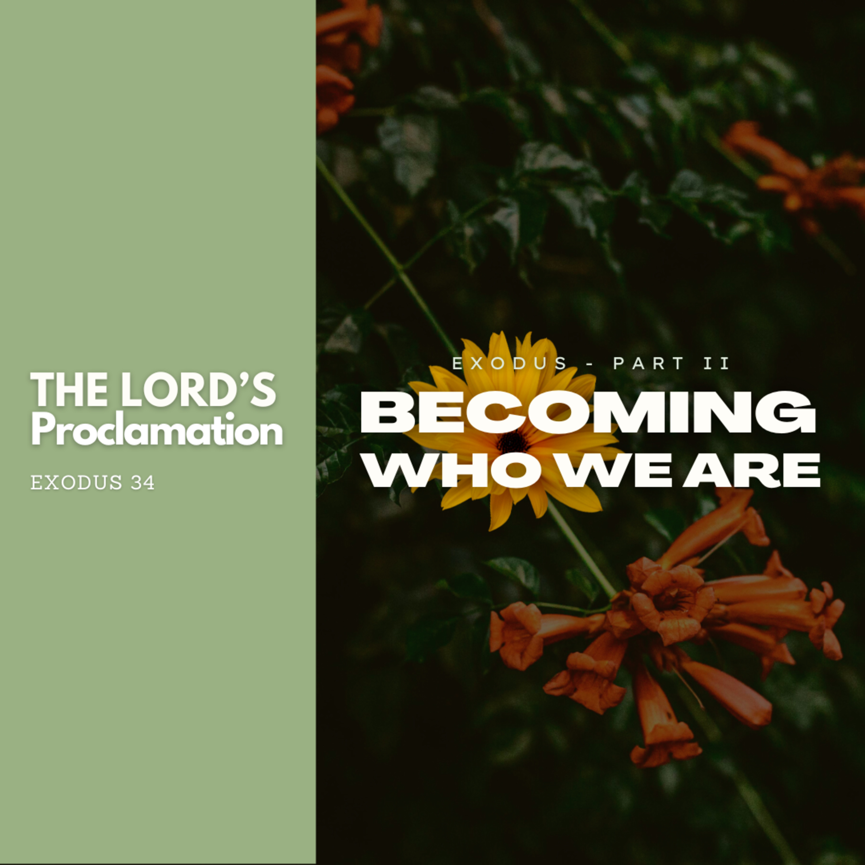 The Lord's Proclamation - Exodus 34 episode artwork