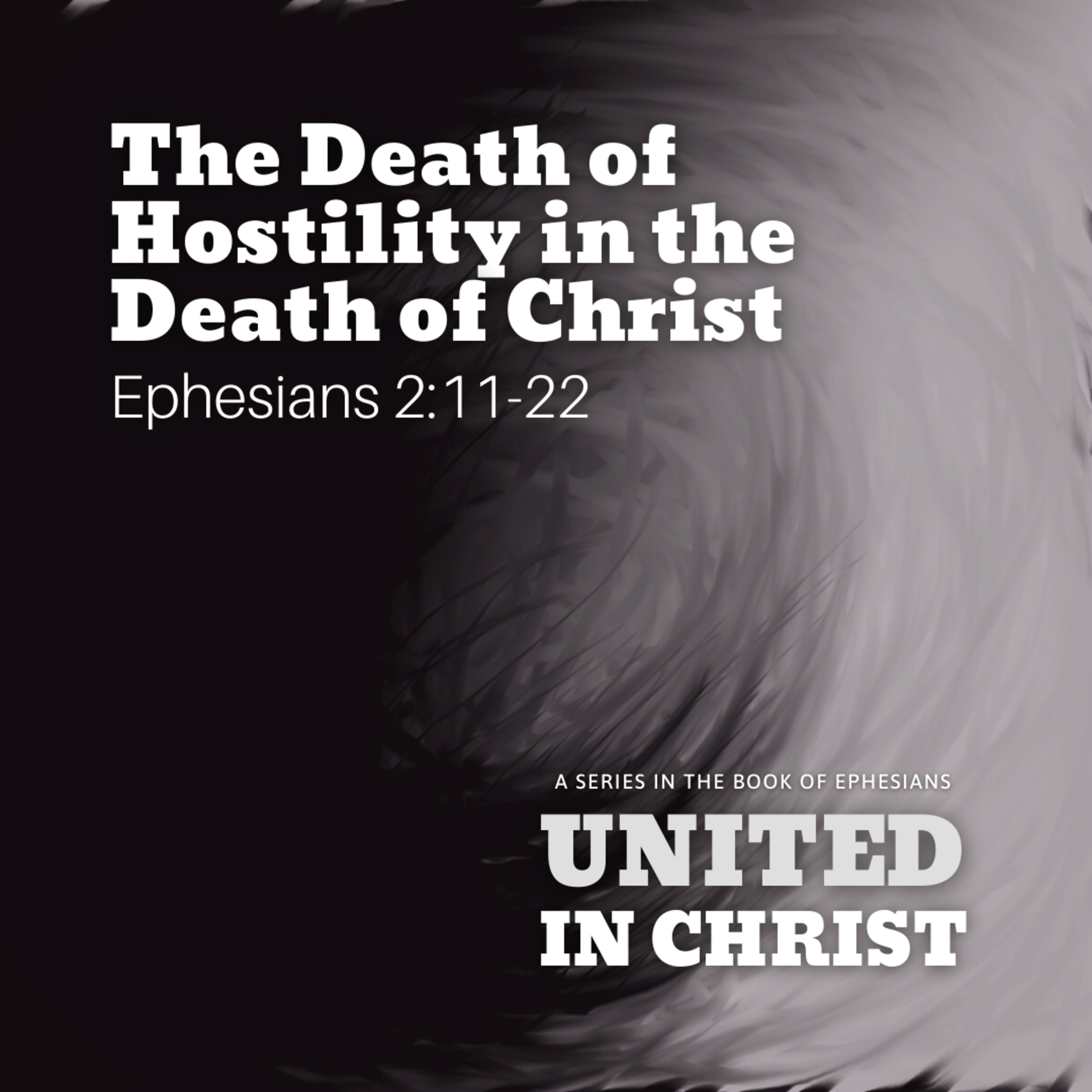The Death of Hostility in the Death of Christ episode artwork