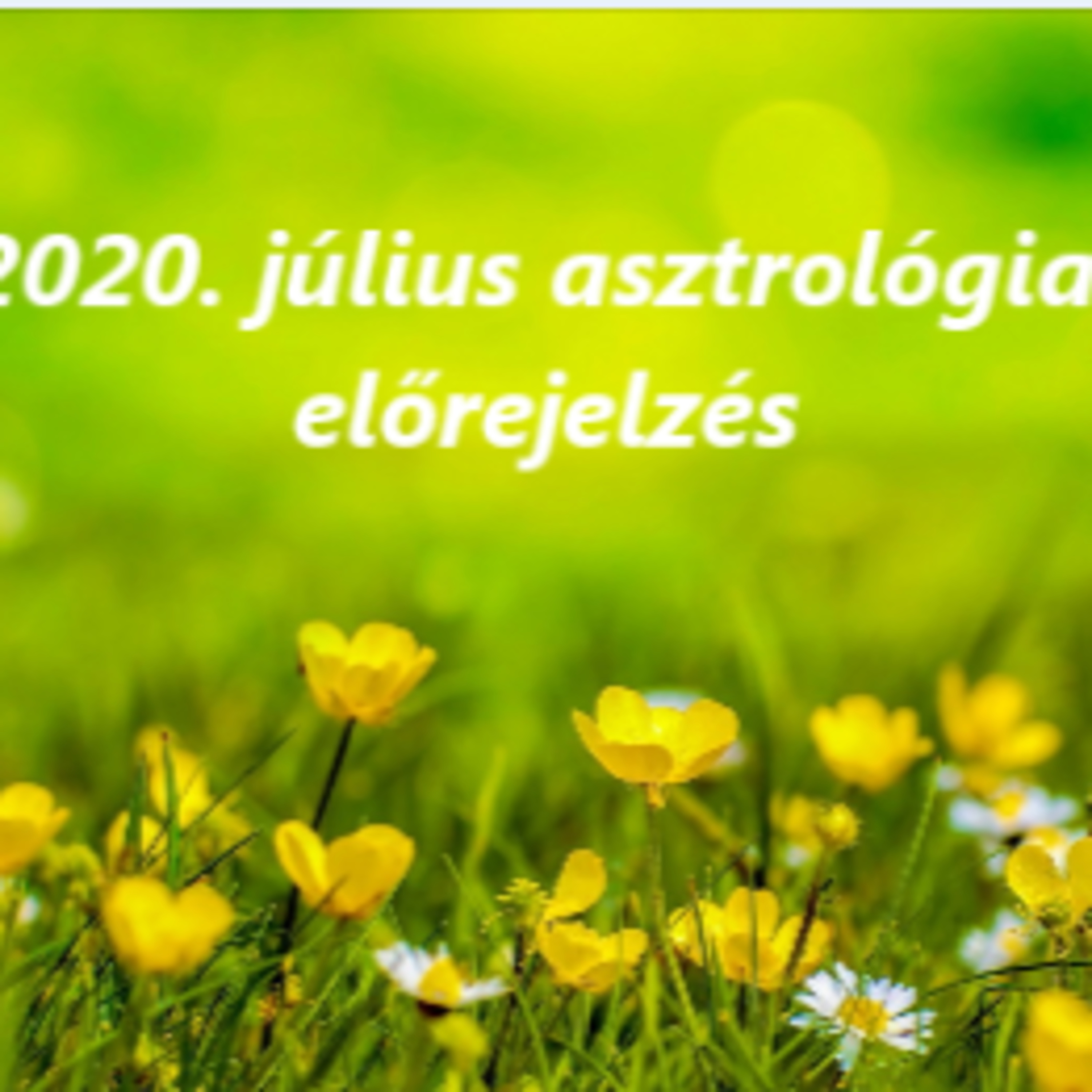 Sorsszerviz