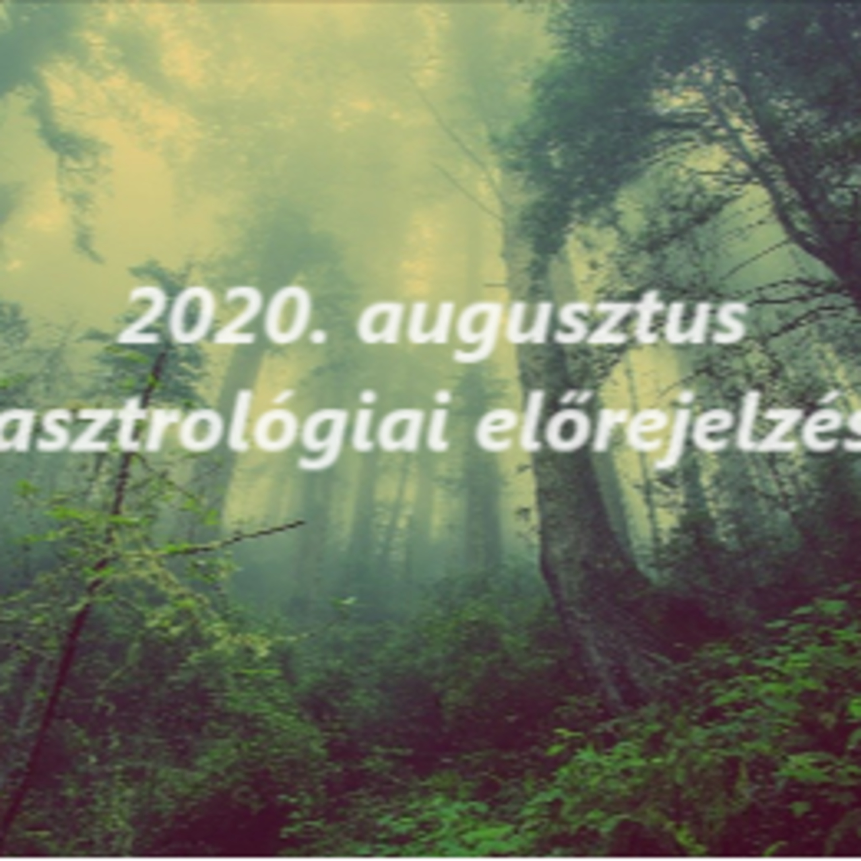 Sorsszerviz