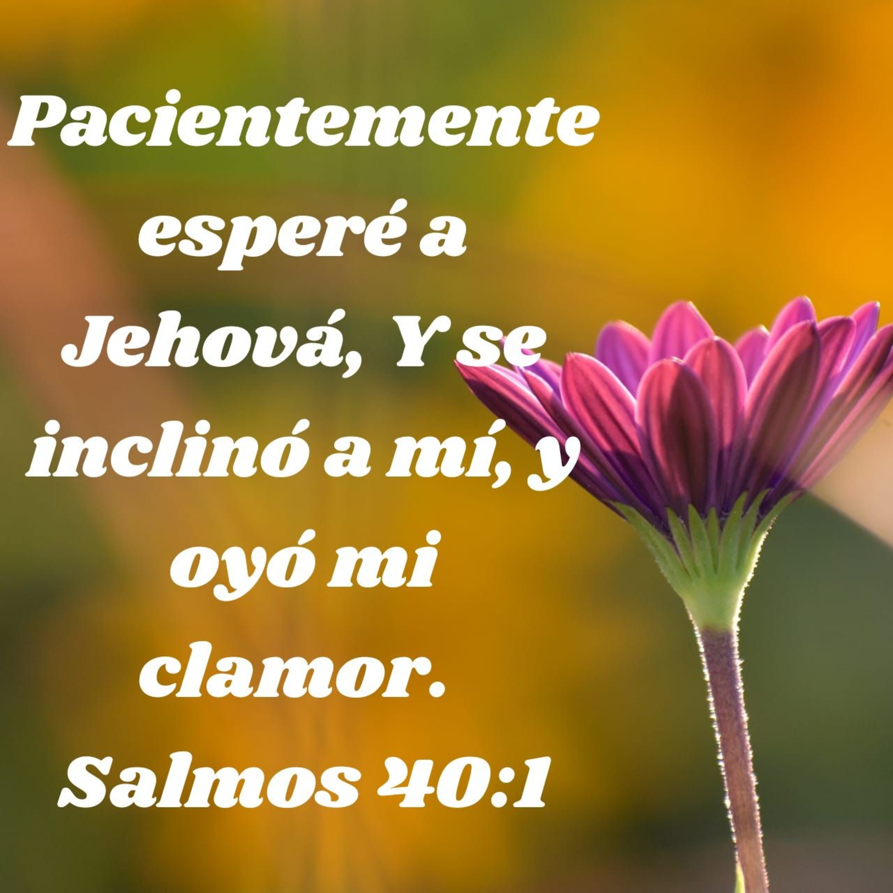 Mensajes, Consejos y Reflexiones Bíblicas
