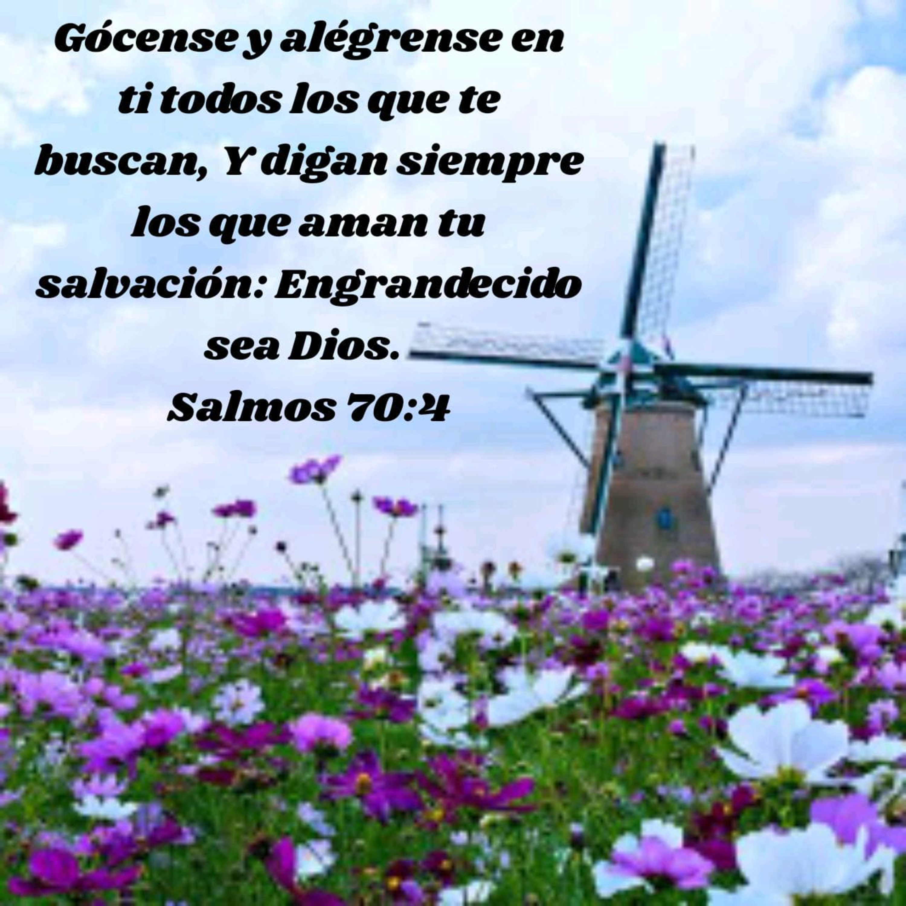 Mensajes, Consejos y Reflexiones Bíblicas