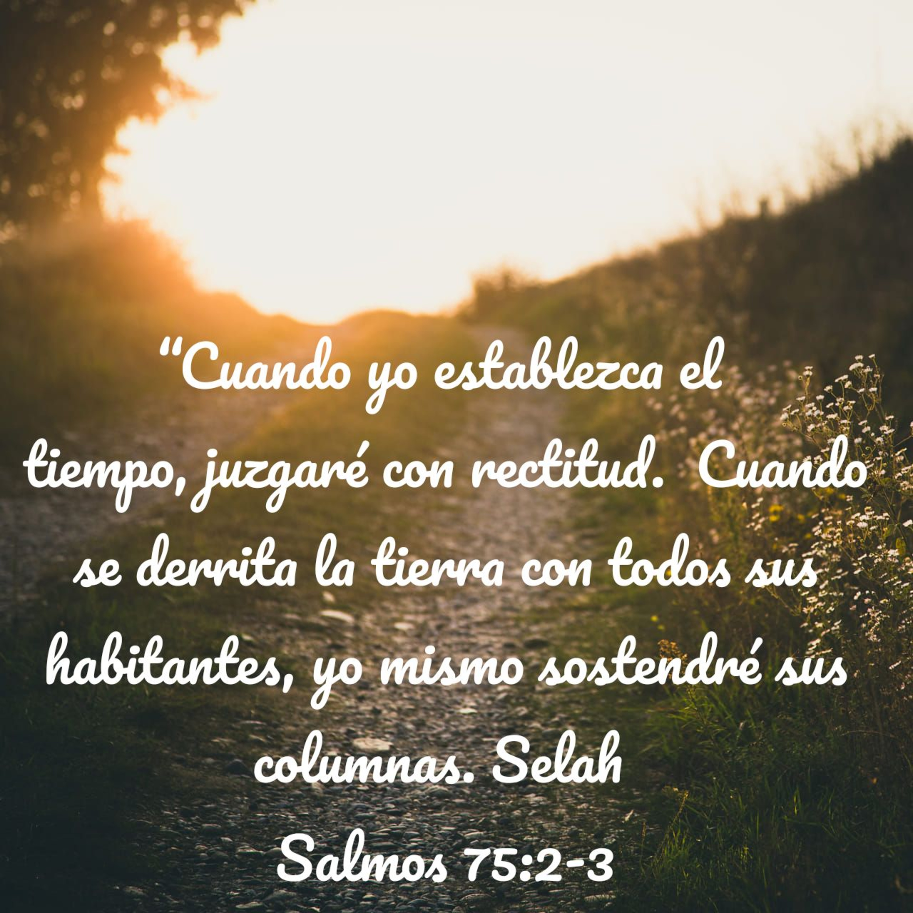Mensajes, Consejos y Reflexiones Bíblicas