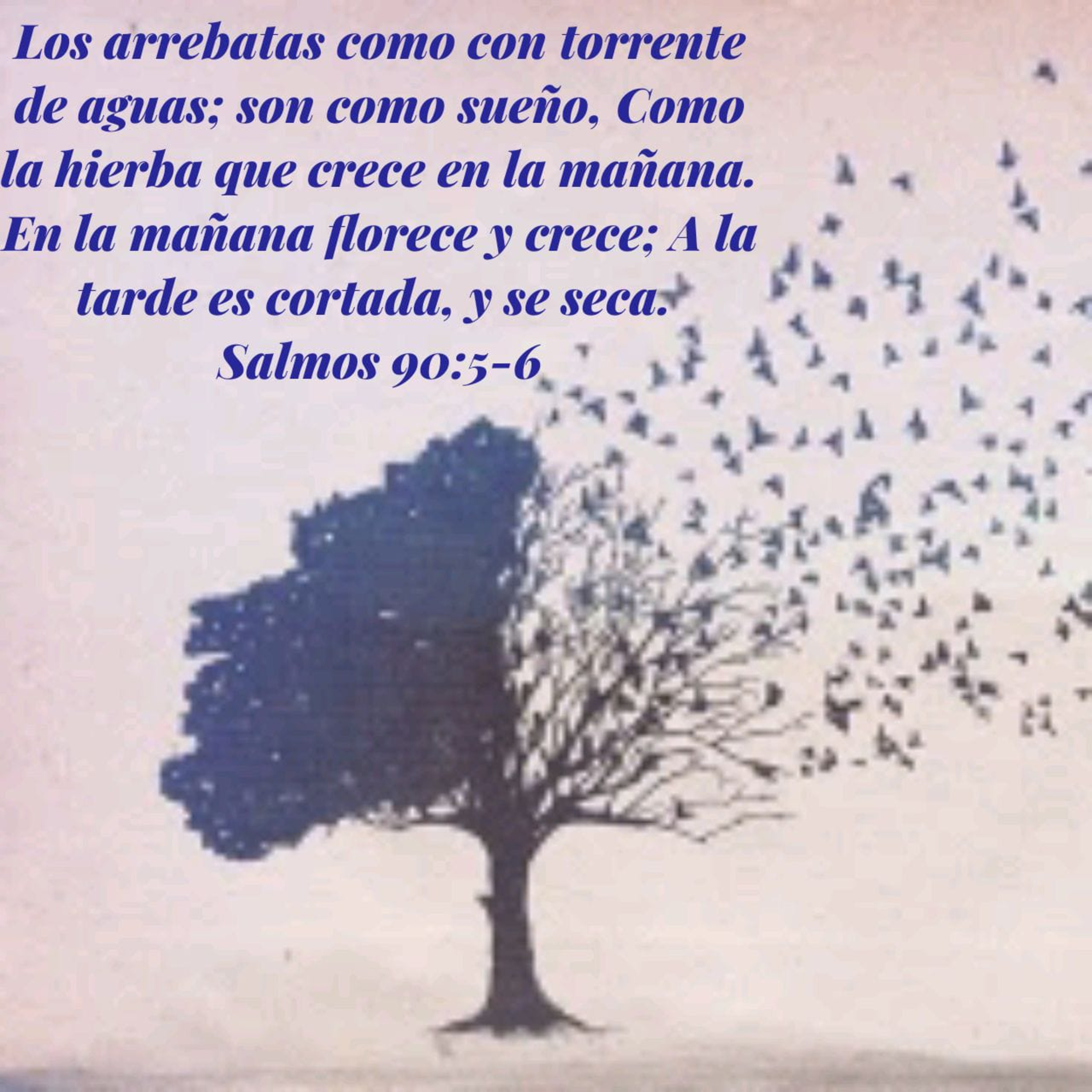 Mensajes, Consejos y Reflexiones Bíblicas