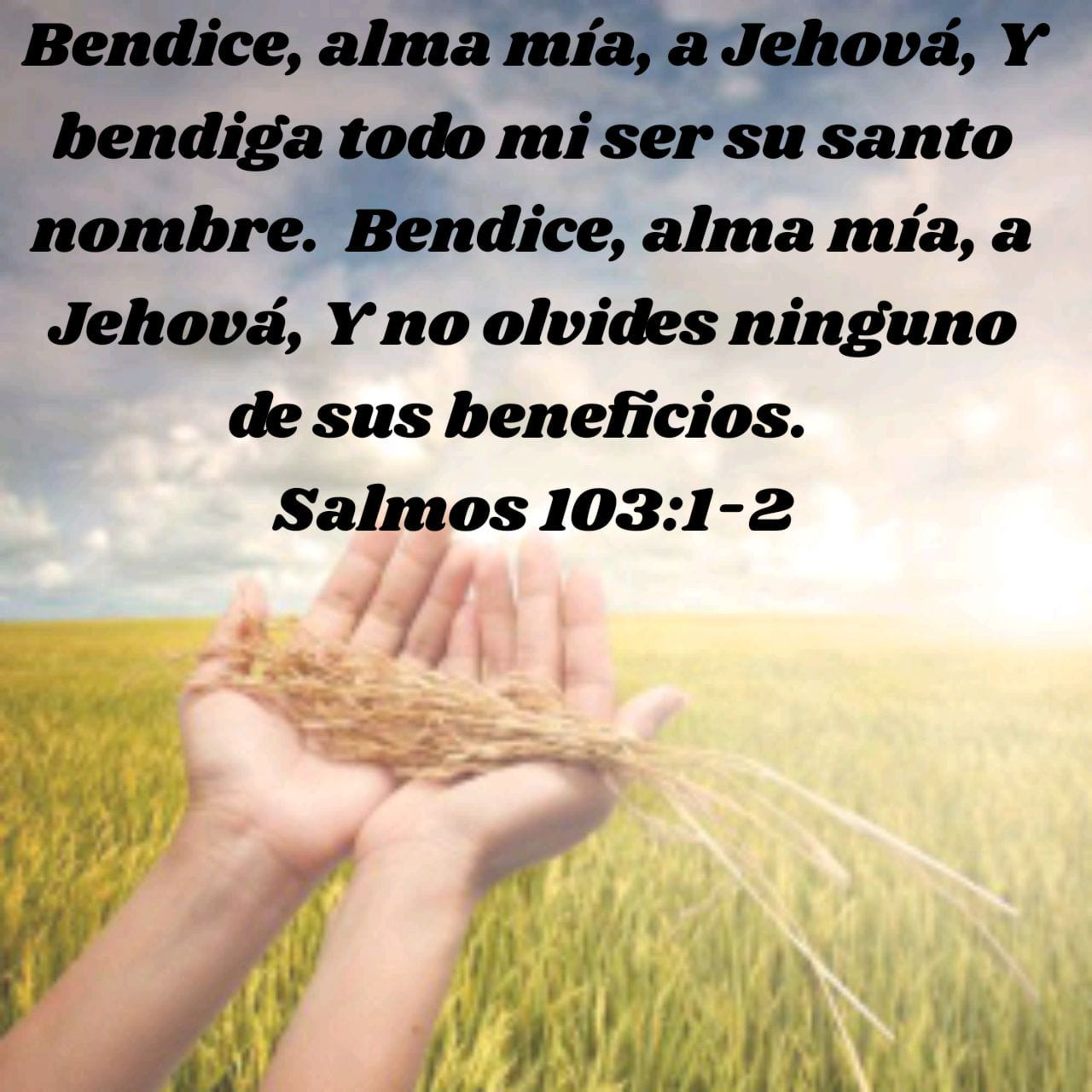 Mensajes, Consejos y Reflexiones Bíblicas