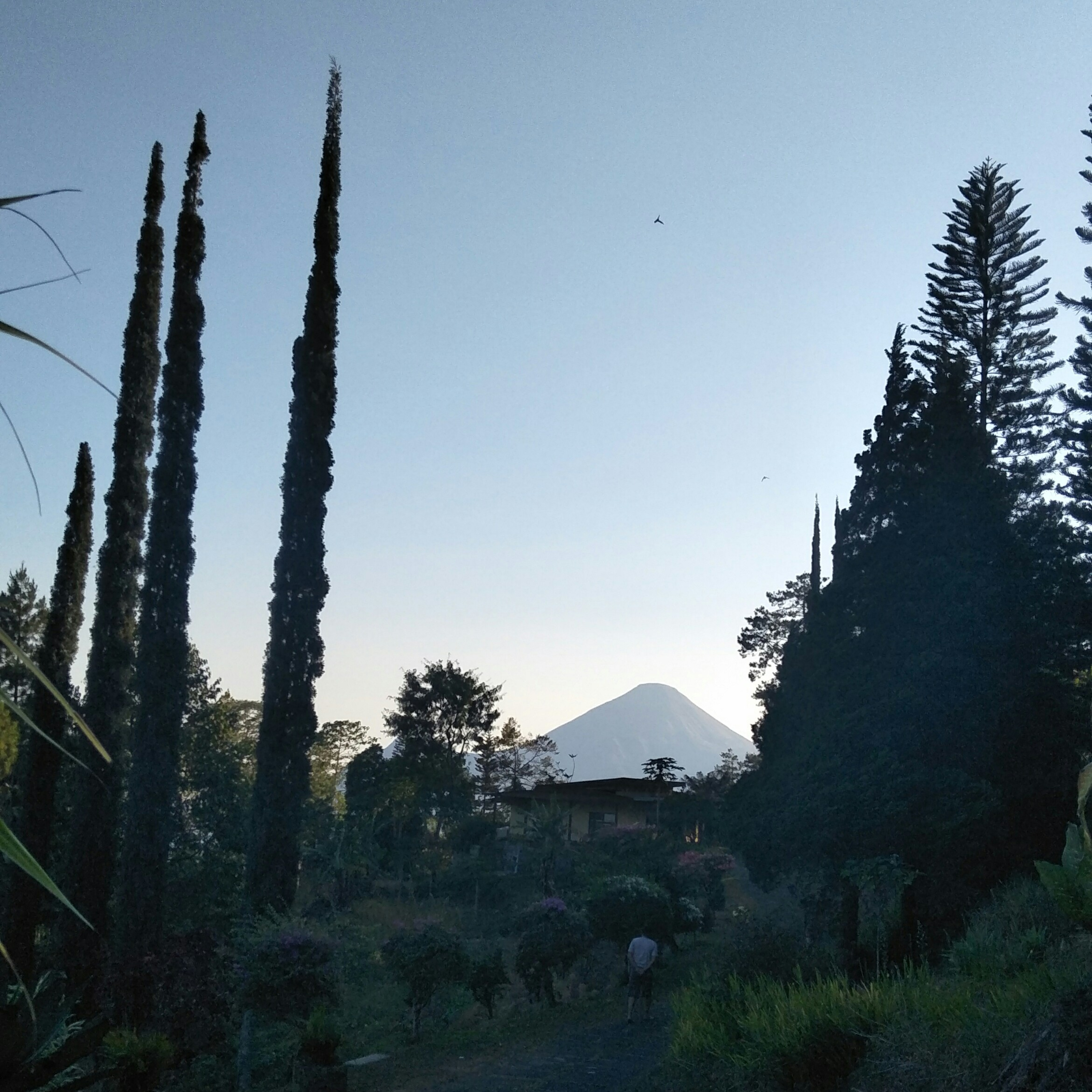 Serahkanlah Kuatirmu 