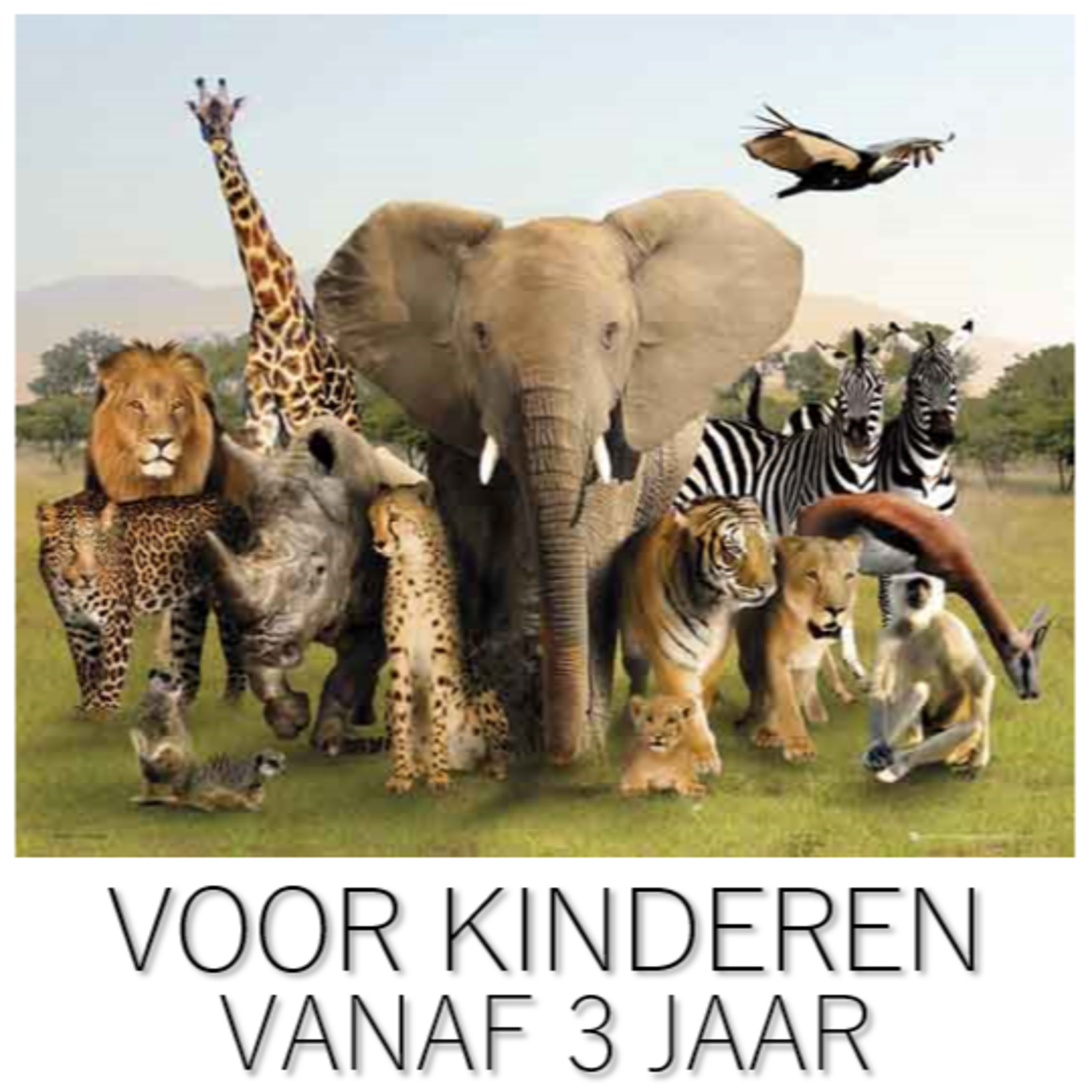 De Deur Podcast