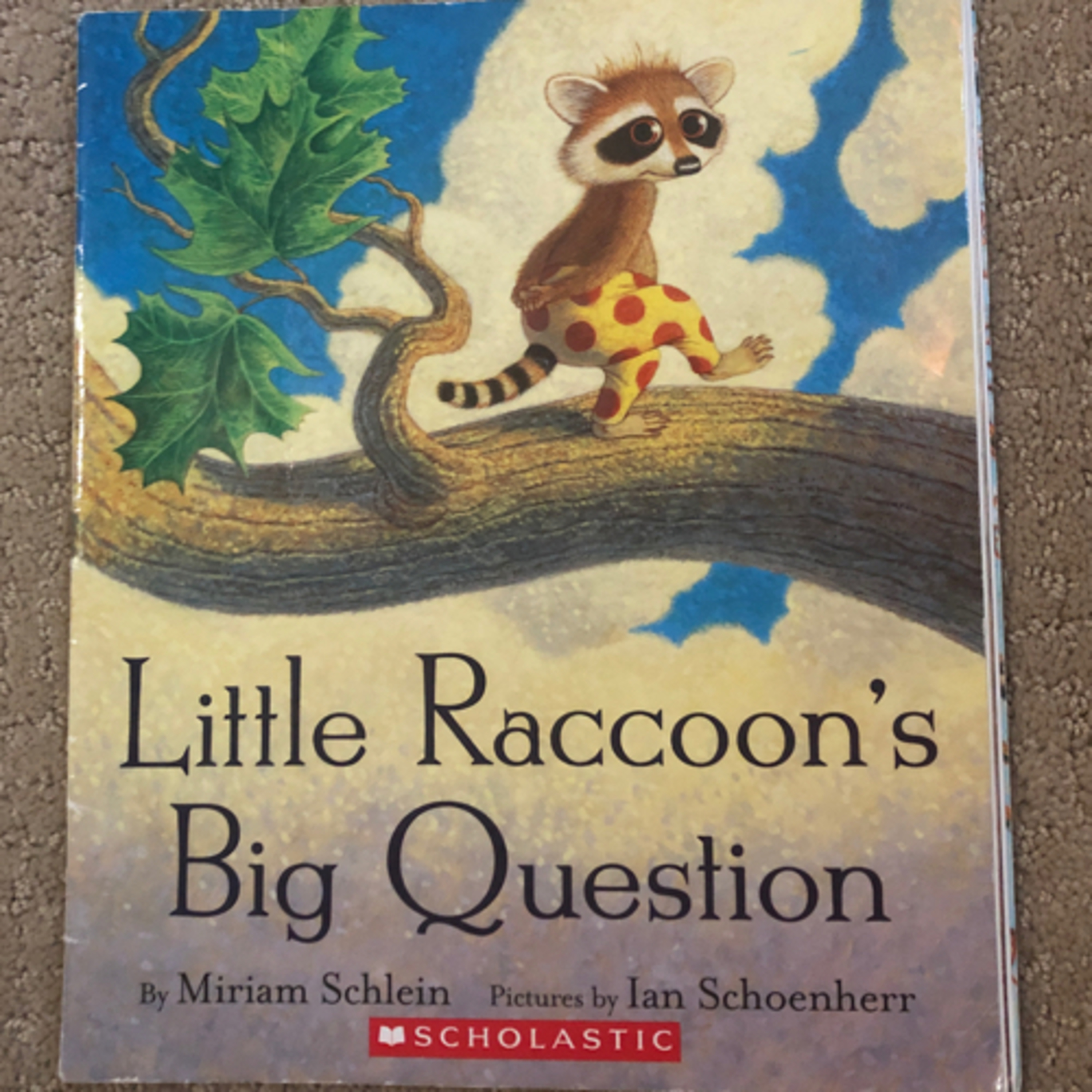Storytime For Kids: Little Racoon’s Big Question By: Miriam Schlein  episode artwork