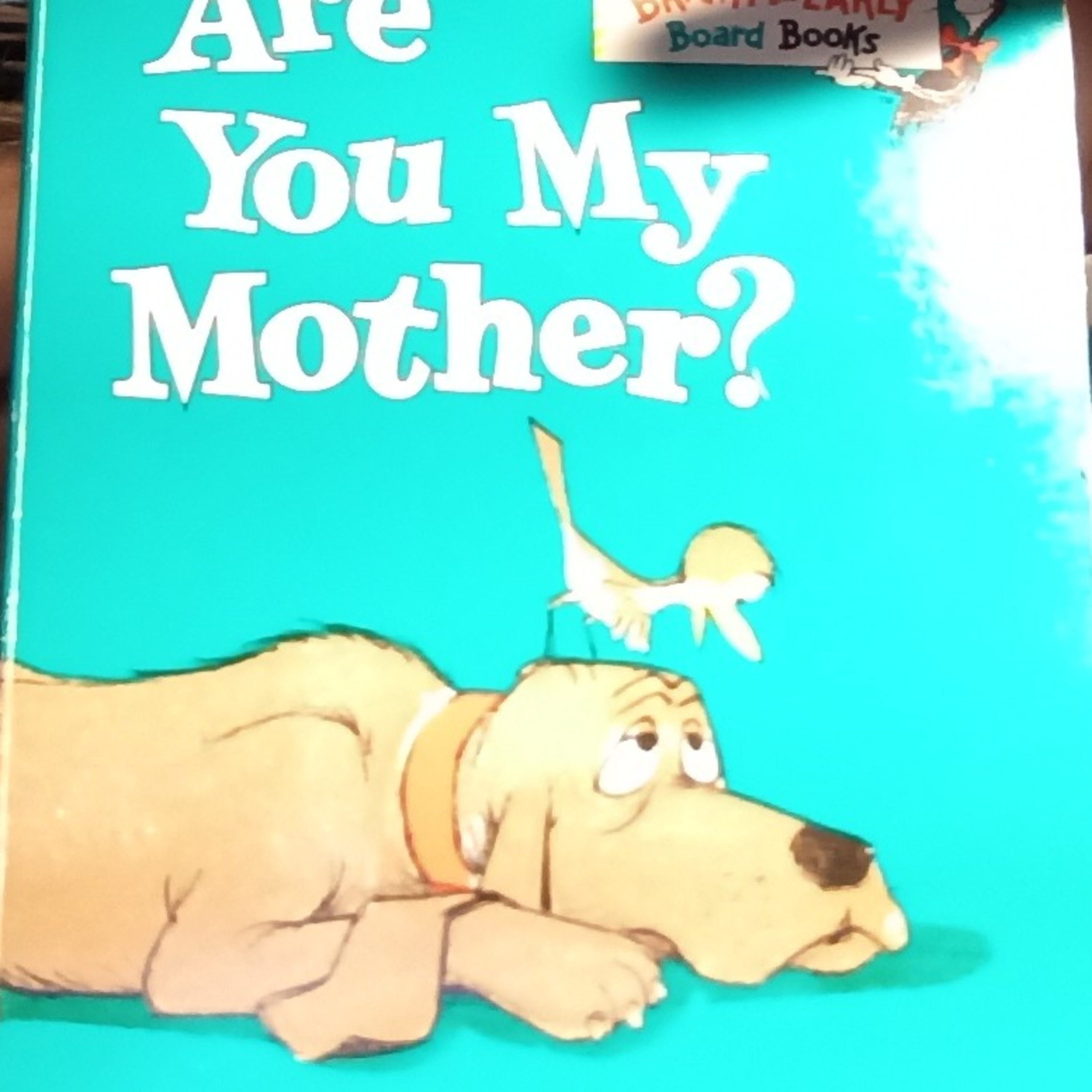 Storytime for Kids: Are You My Mother By: P.D. Eastman episode artwork