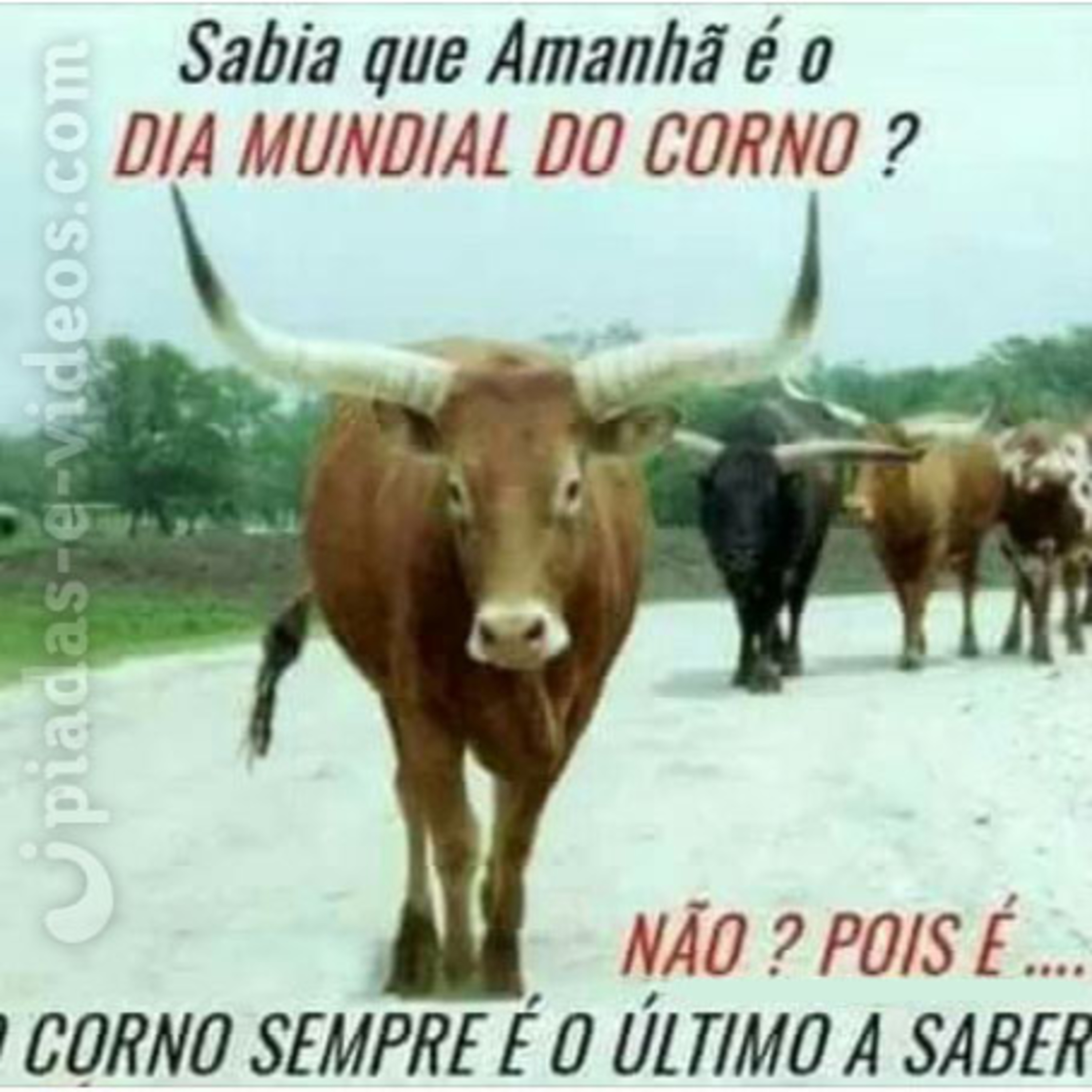 Fora do Tema
