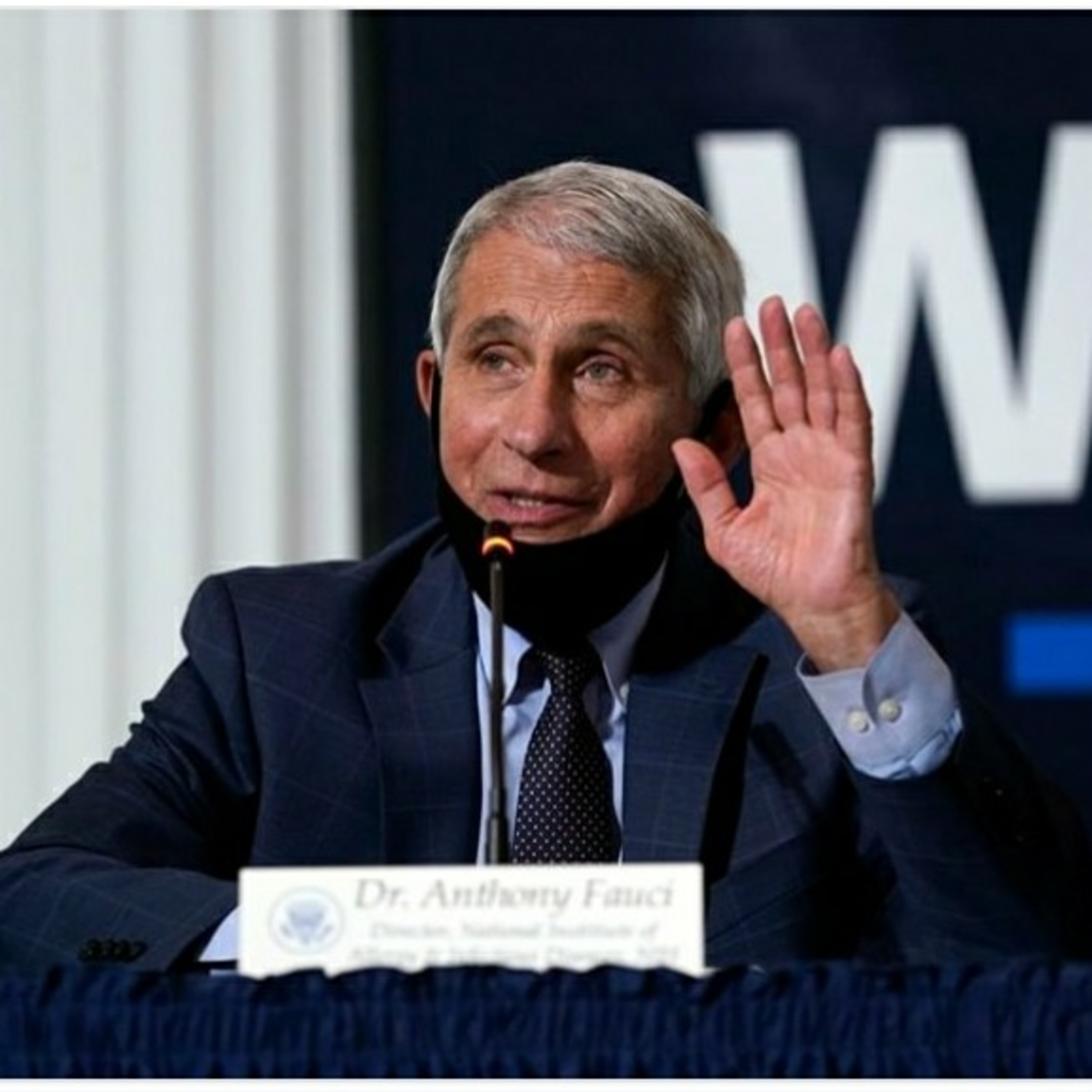 Dr. Fauci could have said the nationwide BLM protests helped spread the China Virus, 
BUT he would n episode artwork