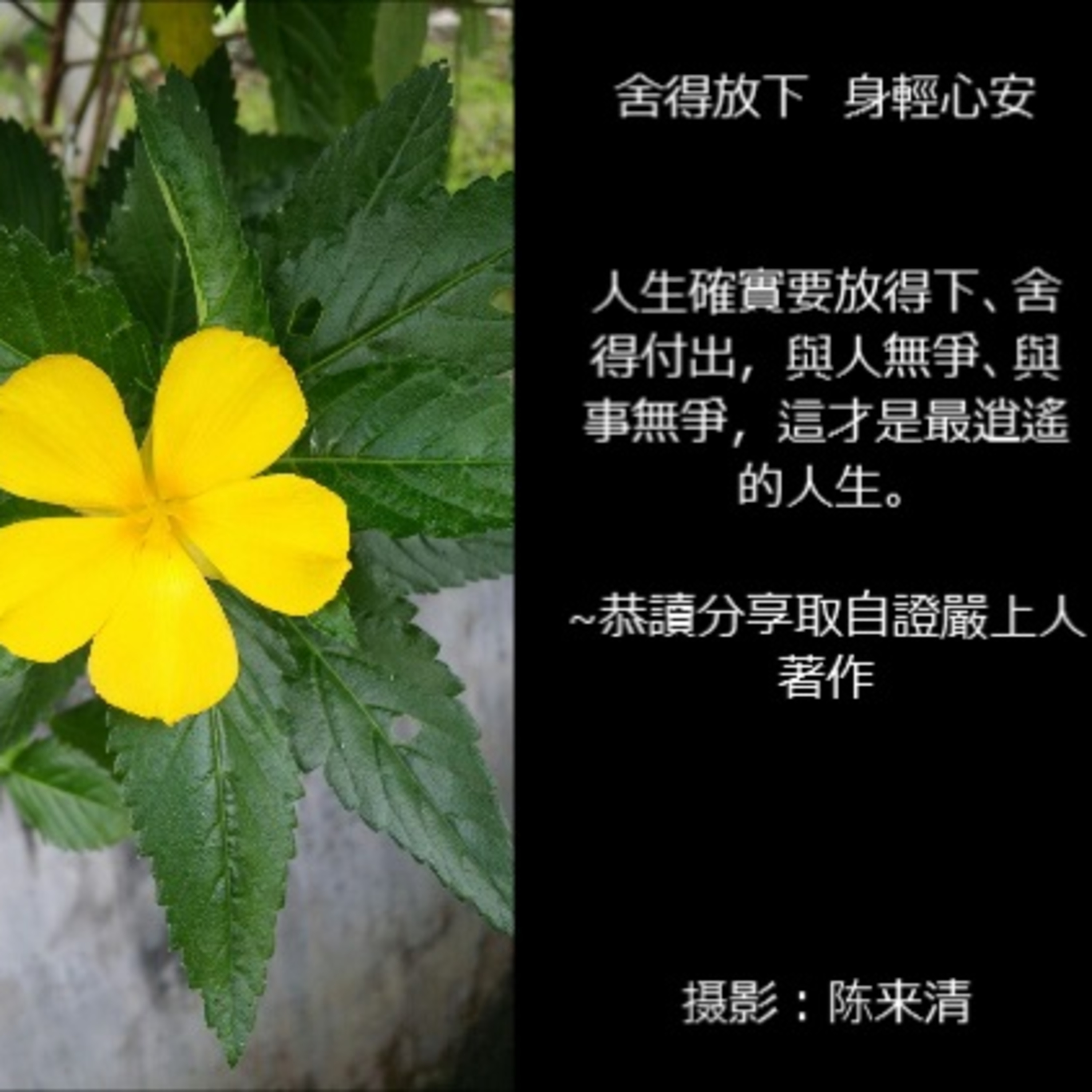 証嚴法師的生活禅心 ♡開悟♡48頁~舍得放下，身輕心安