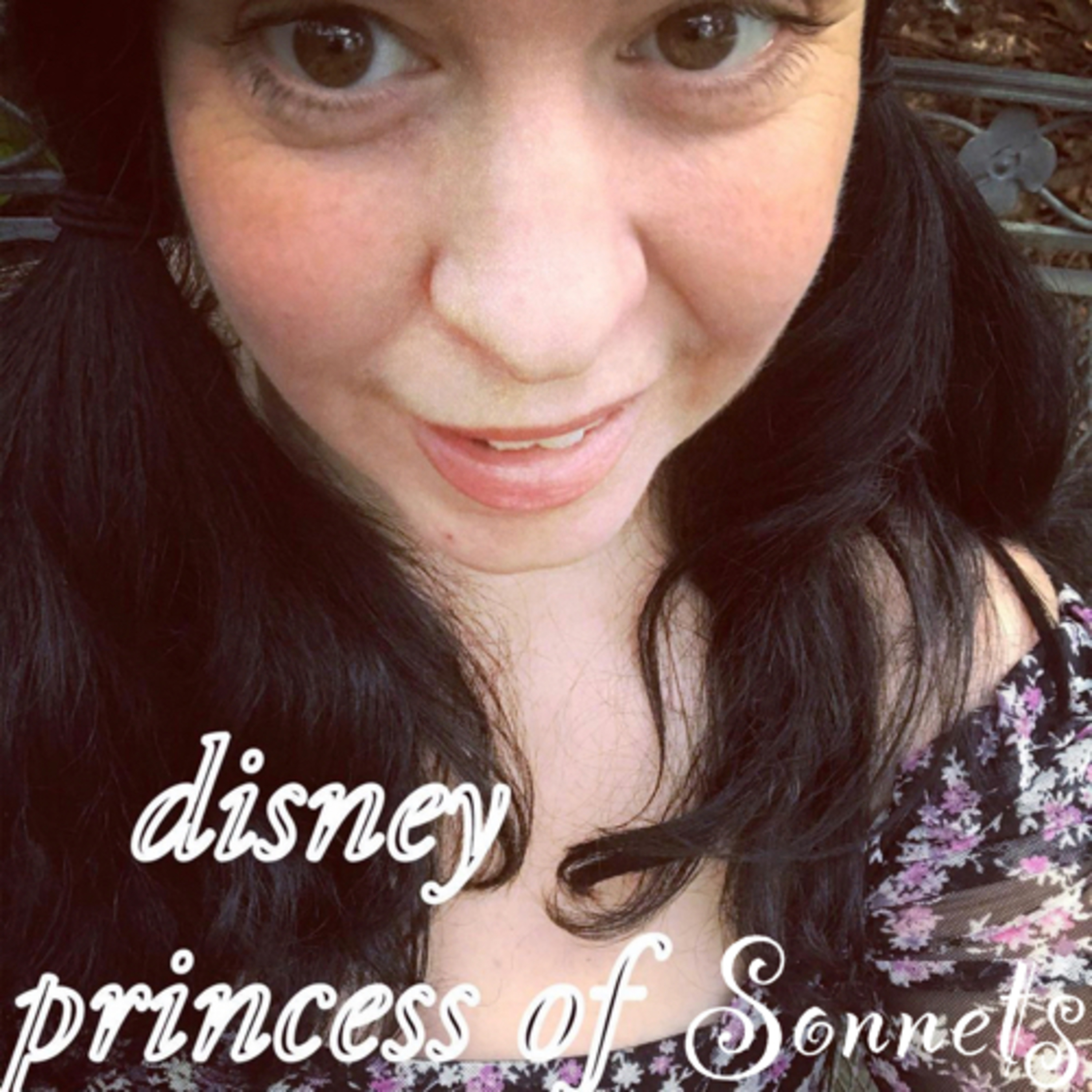The Disney Princess of Sonnets  episode artwork