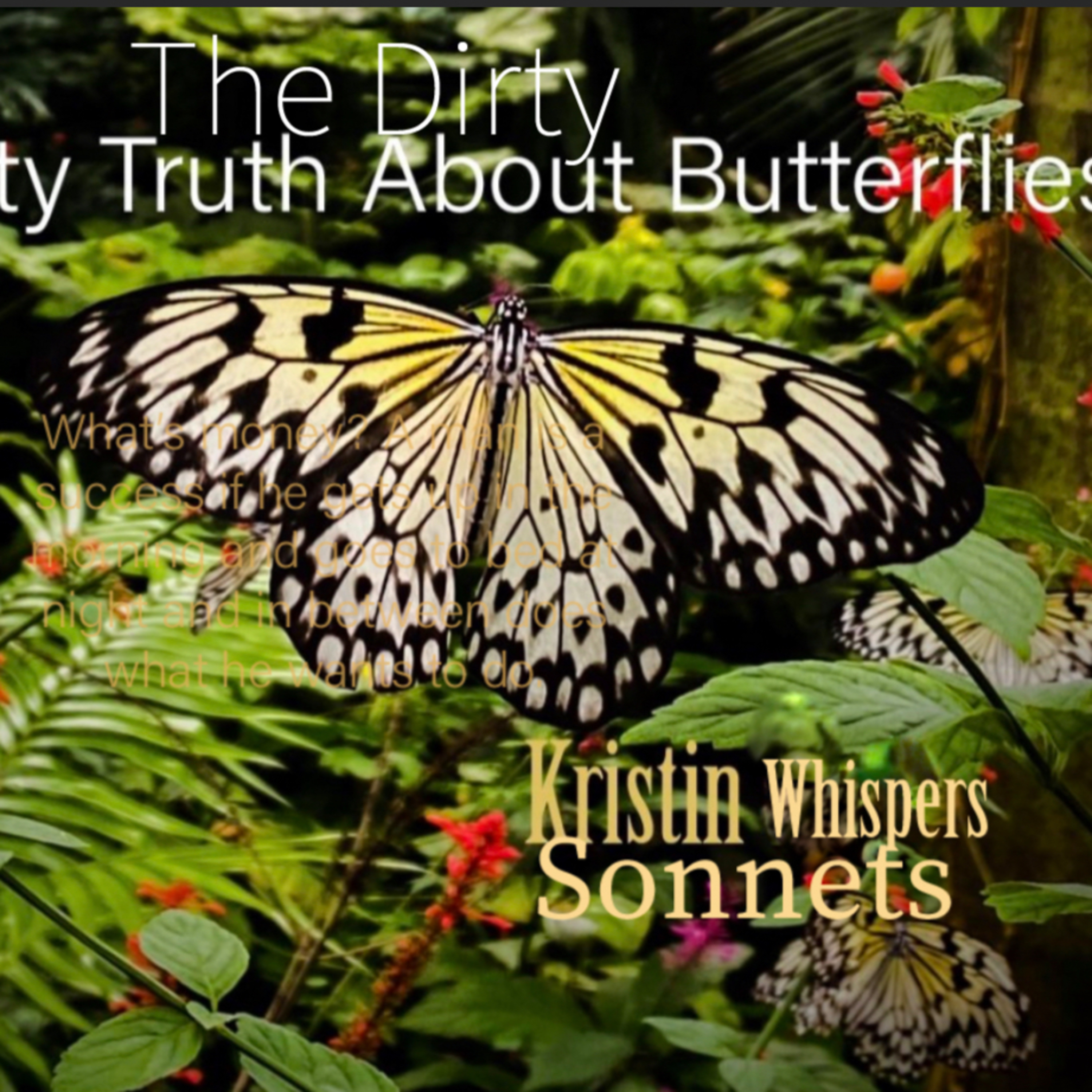 The Dirty Truth About Butterflies episode artwork