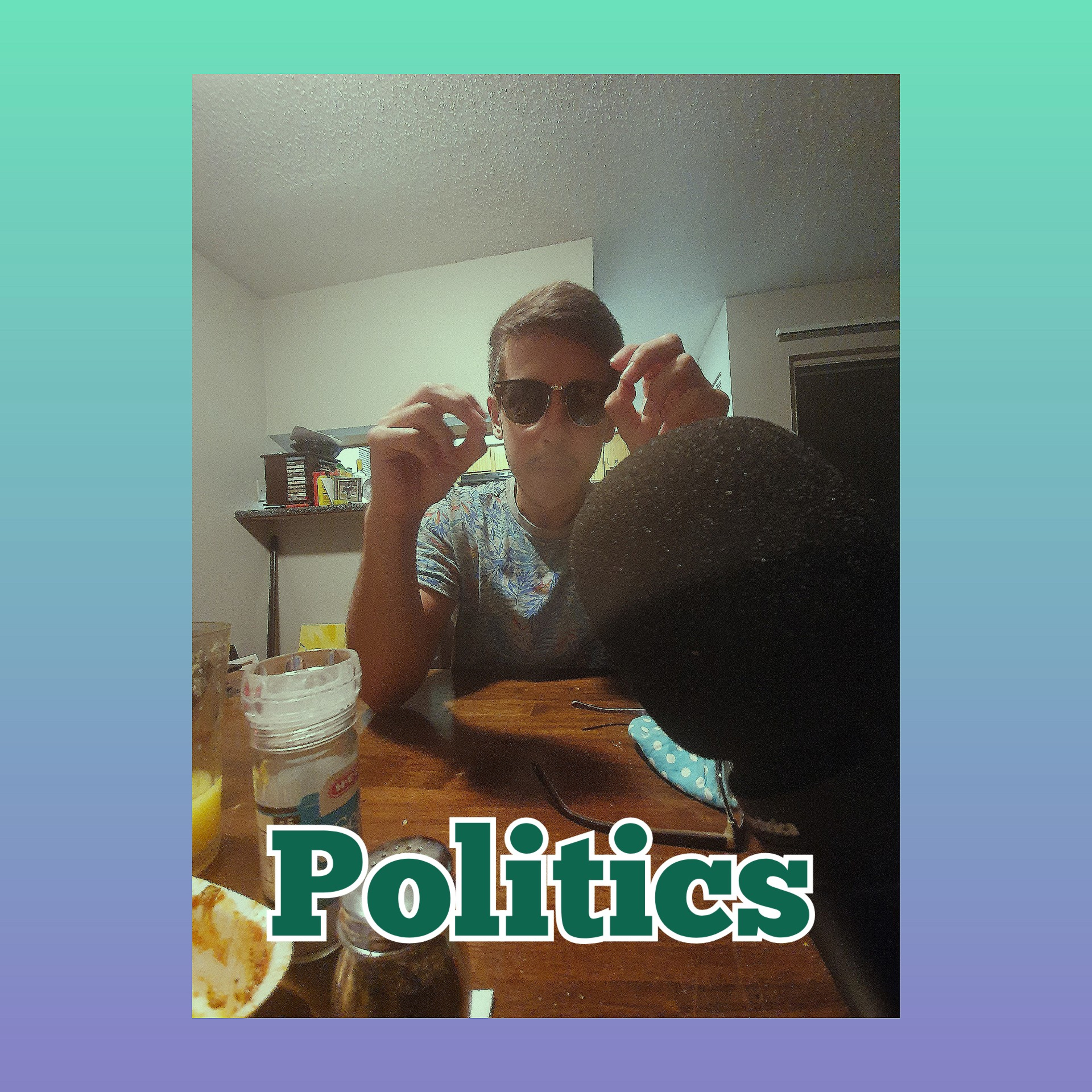 Politics  episode artwork