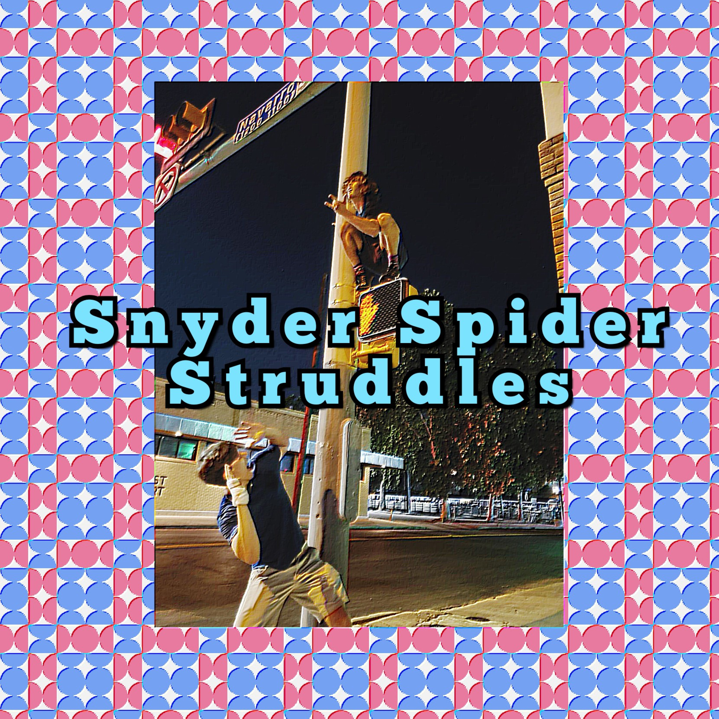 Snyder Spiders Struddles episode artwork
