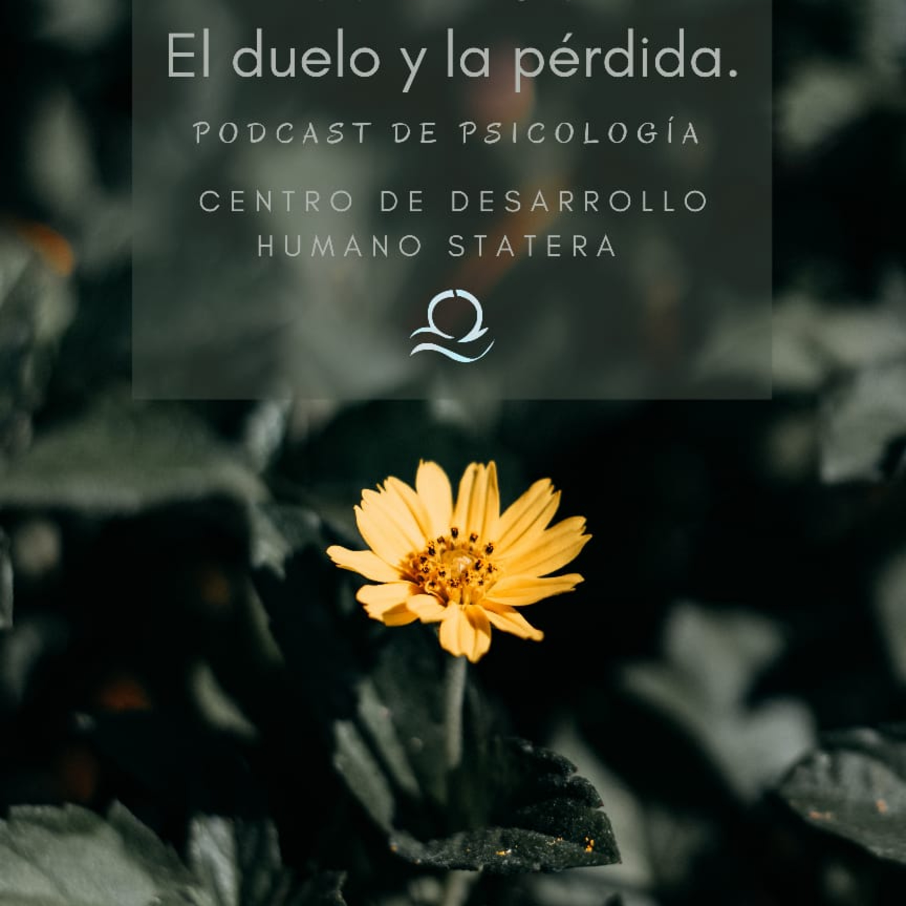 Podcast De Miércoles (Podcast de Psicología)