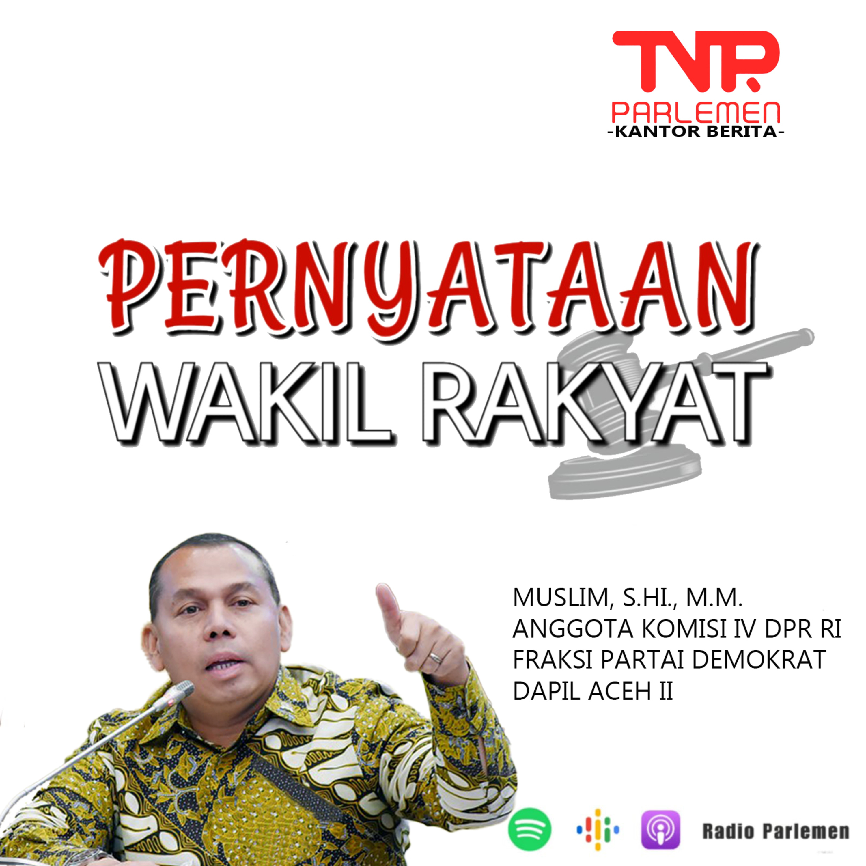 Muslim Minta KKP Bangun Unit Pembibitan Ikan Kerapu di Sumatera episode artwork